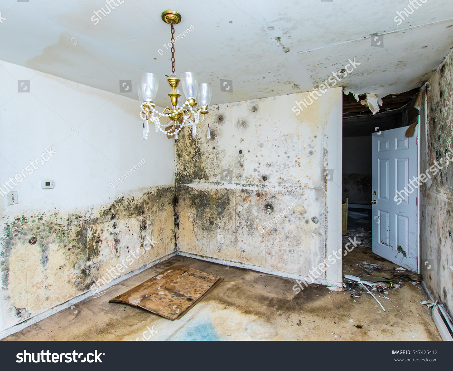 339 Property Damp Stock Photos, Images & Photography | Shutterstock