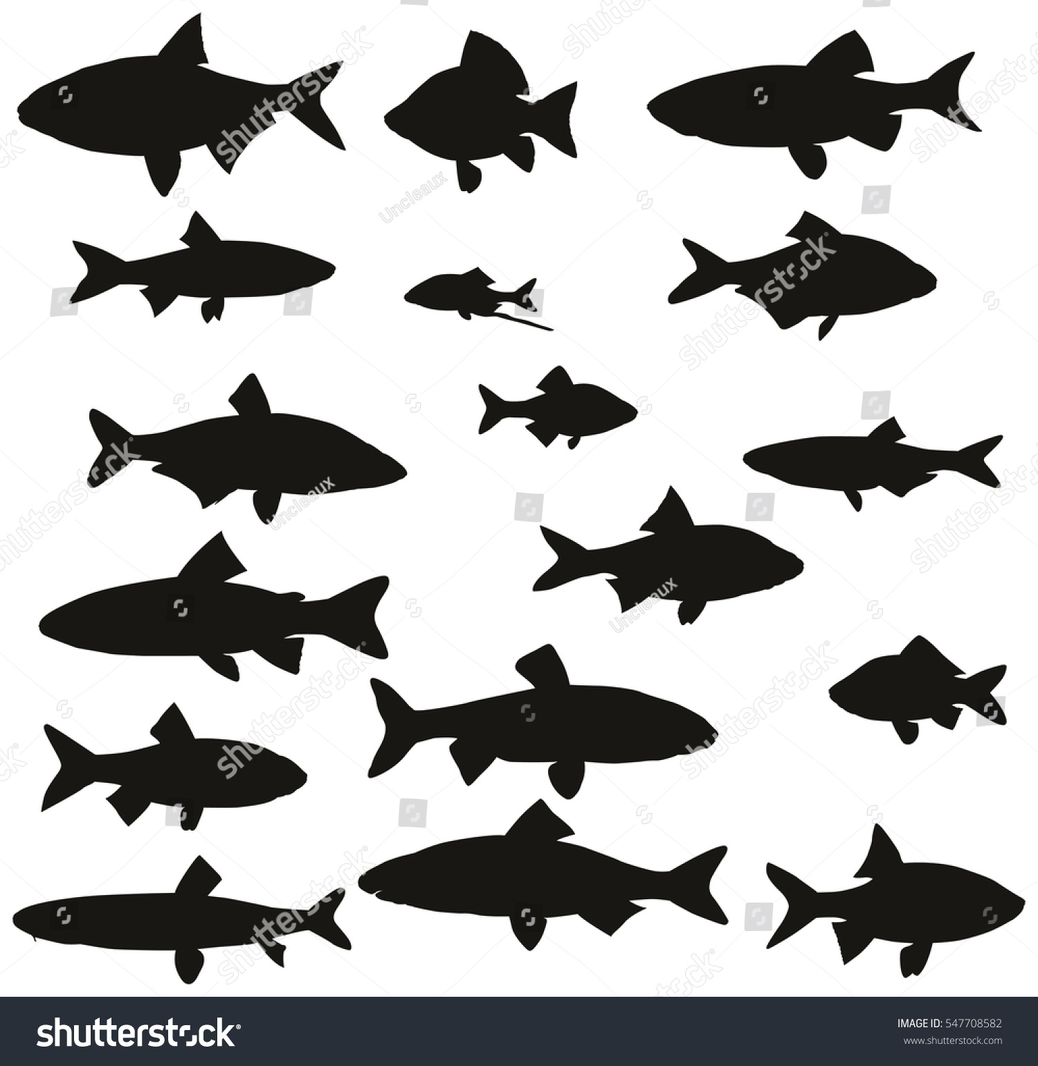 Set Black Silhouettes Common River Fish Stock Vector (Royalty Free ...