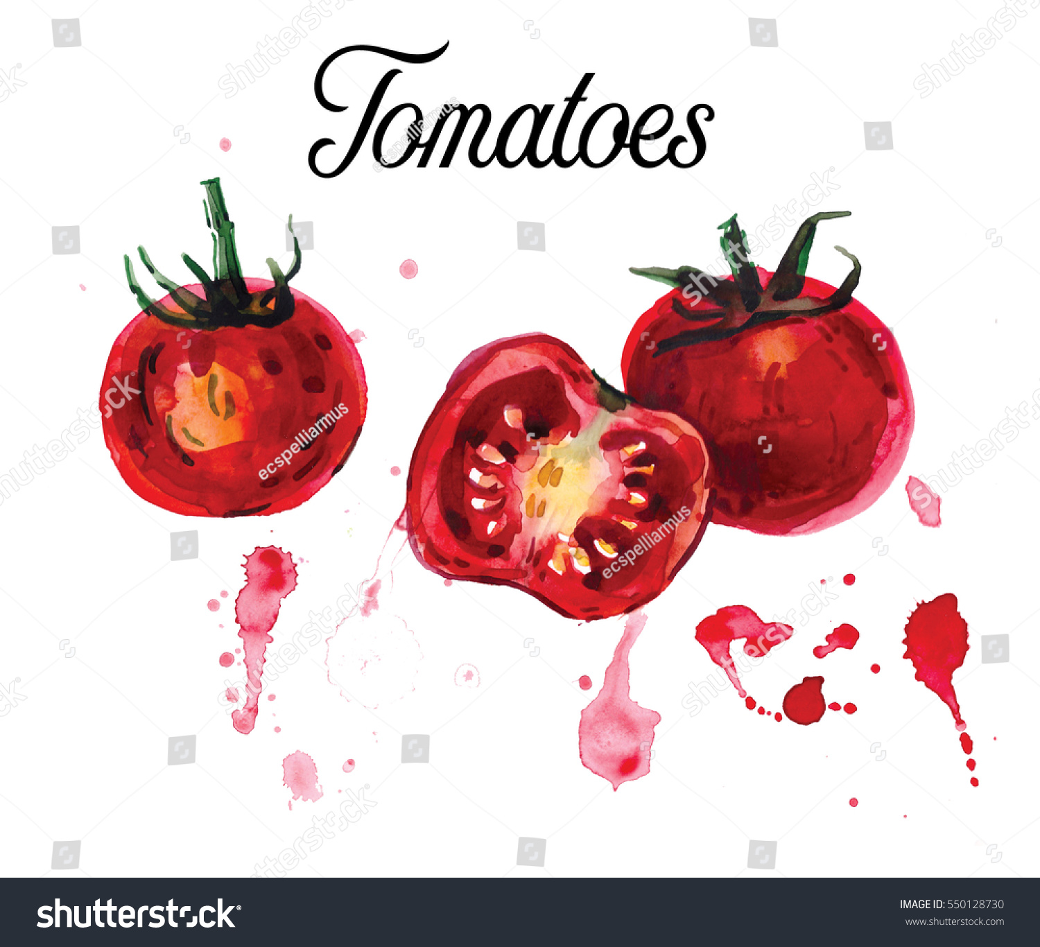 Tomatoes Painted Watercoolor Hand Drawn Watercolor Stock Illustration ...