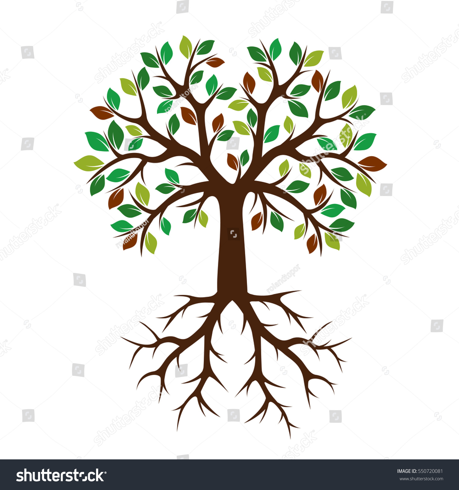 Color Tree Roots Vector Illustration Stock Vector (Royalty Free ...