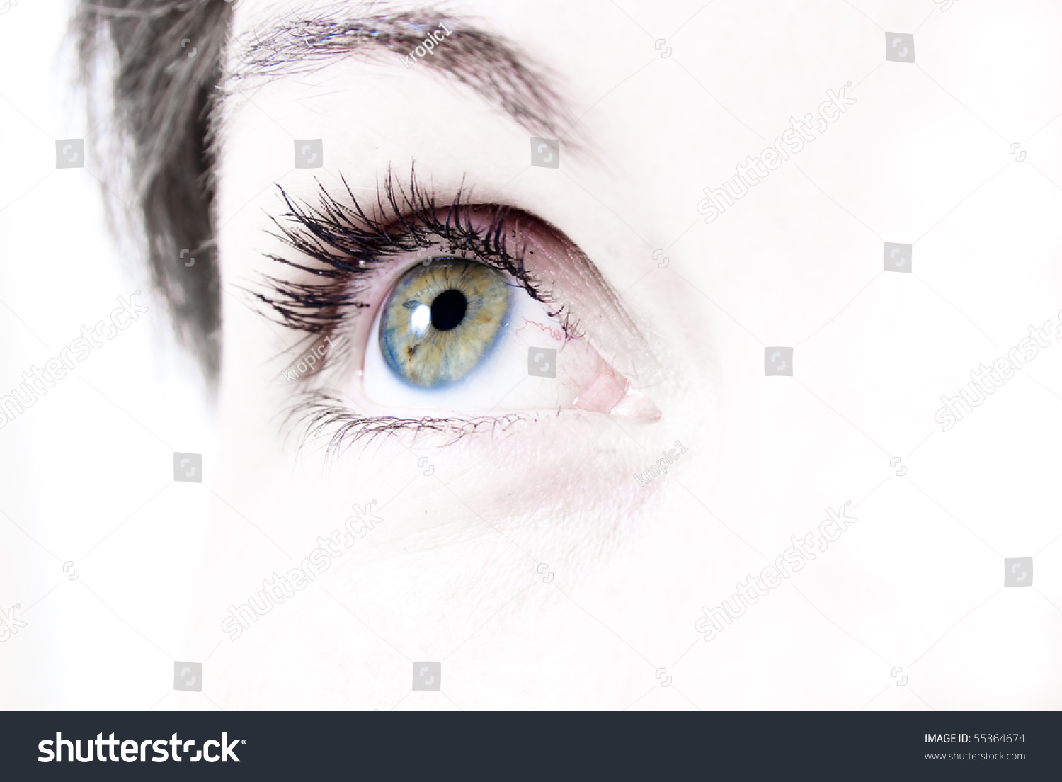 Beautiful Female Eye Without Makeup Stock Photo 55364674 Shutterstock