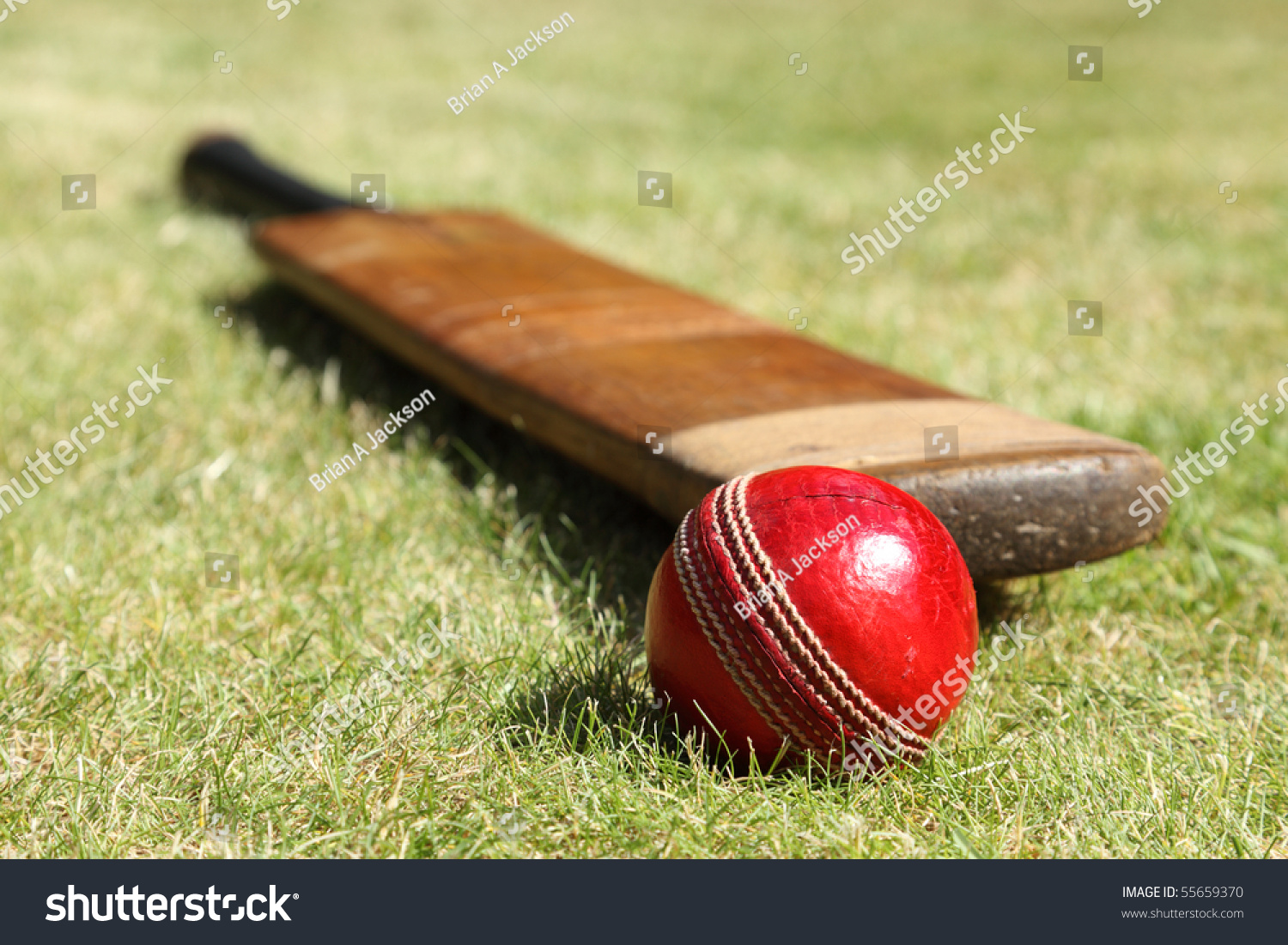 cricket bat and ball wallpaper