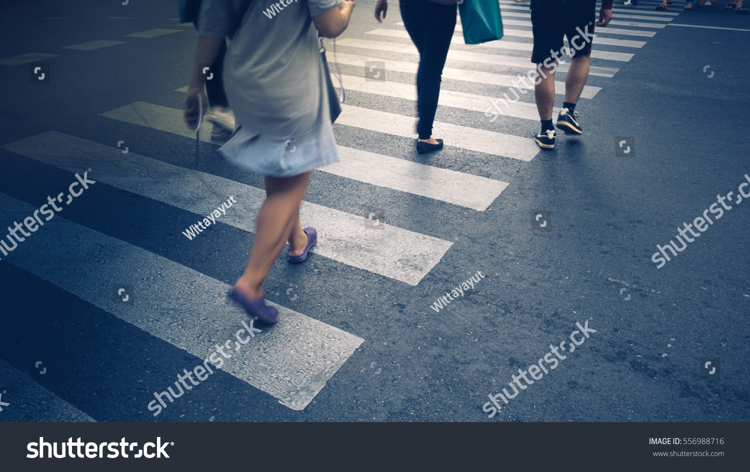 Gerak Penyeberangan Zebra Pejalan Kaki Atau Foto Stok 556988716