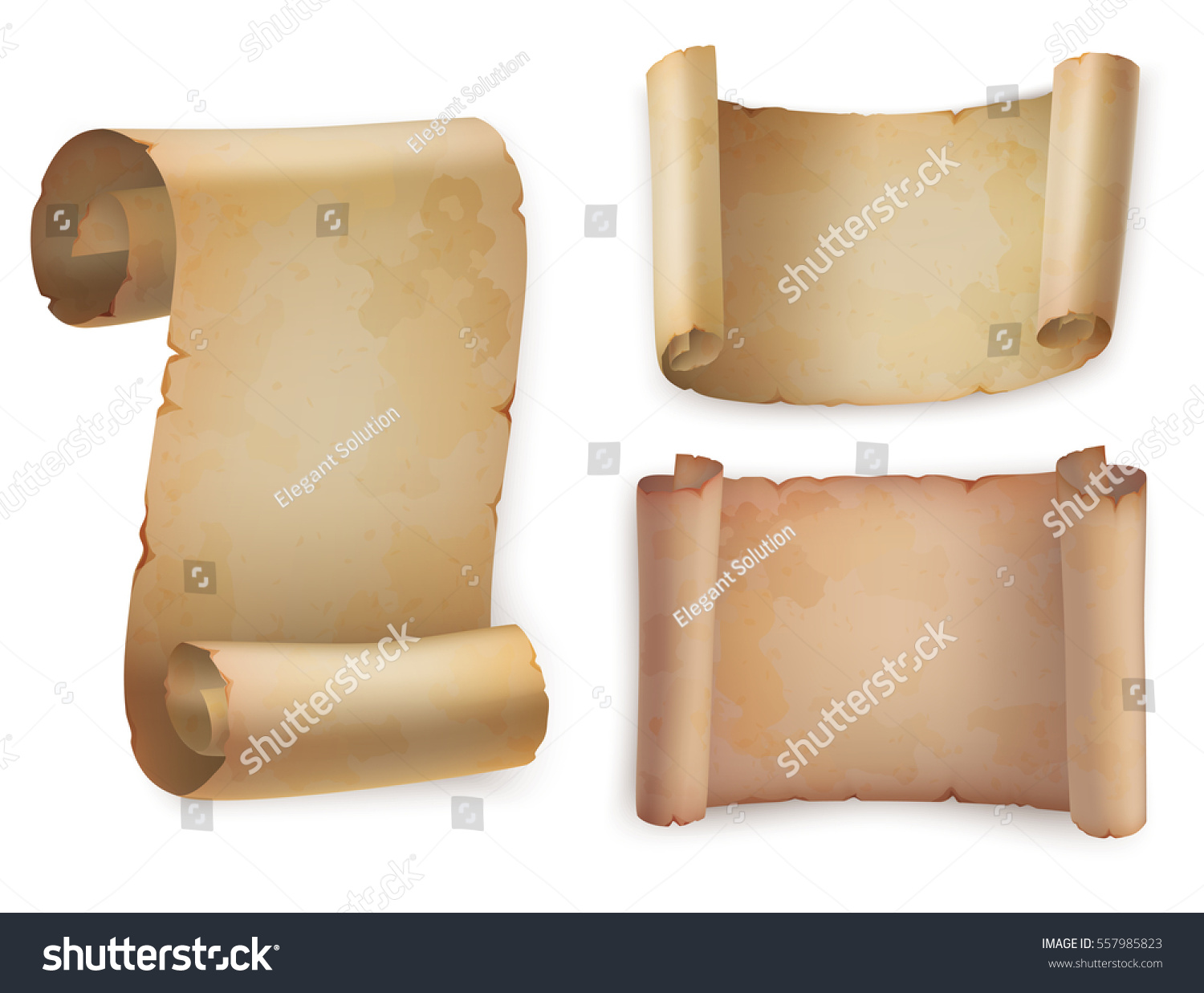 Set Antique Old Paper Roll Horizontal Stock Vector Royalty Free 557985823 Shutterstock 