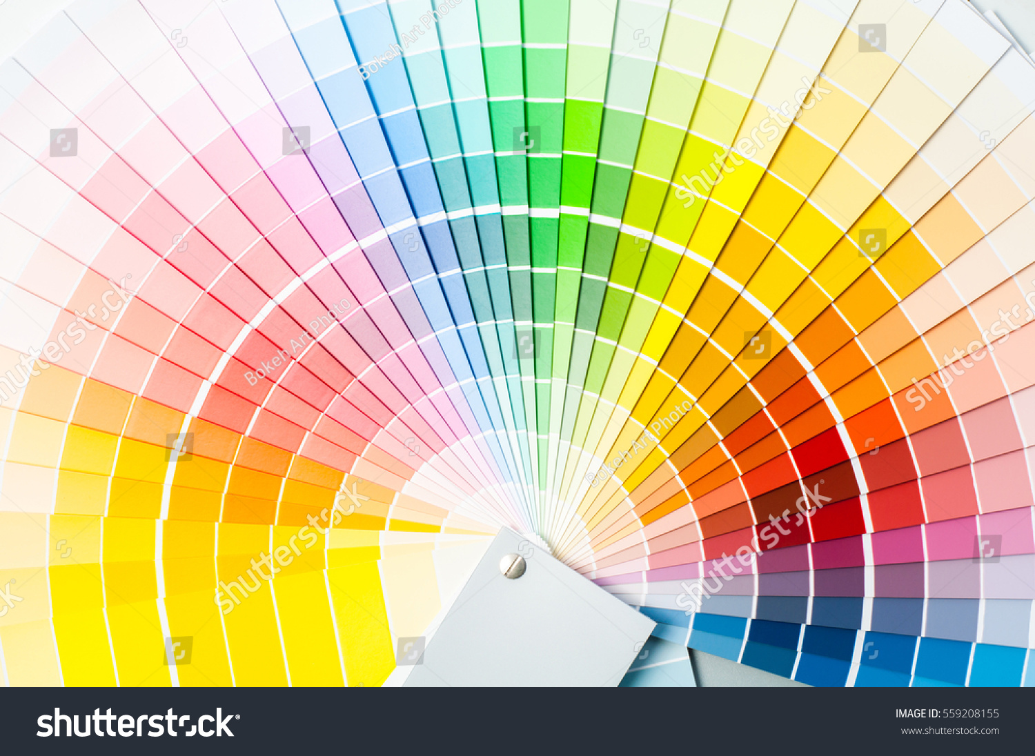 Color Palette Guide Paint Samples Colored Stock Photo 559208155 ...