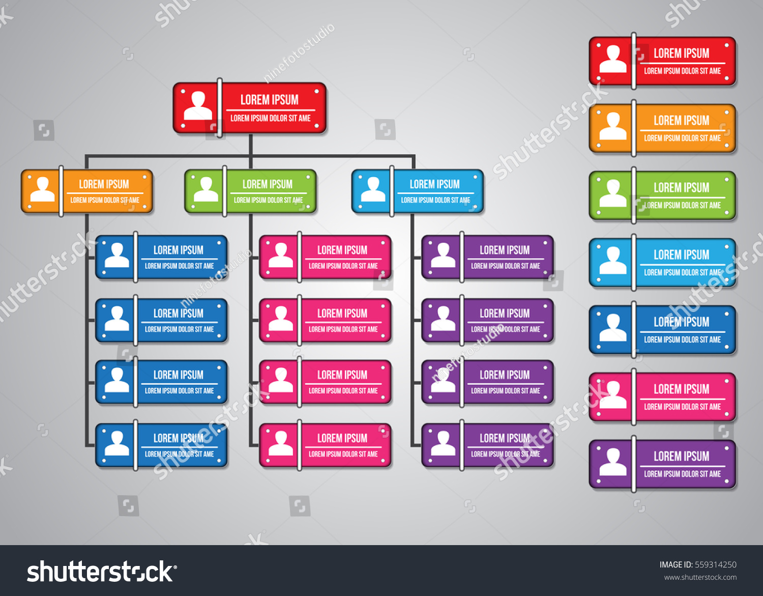 Colorful Rectangle Organization Chart Infographics Rectangle Stock ...