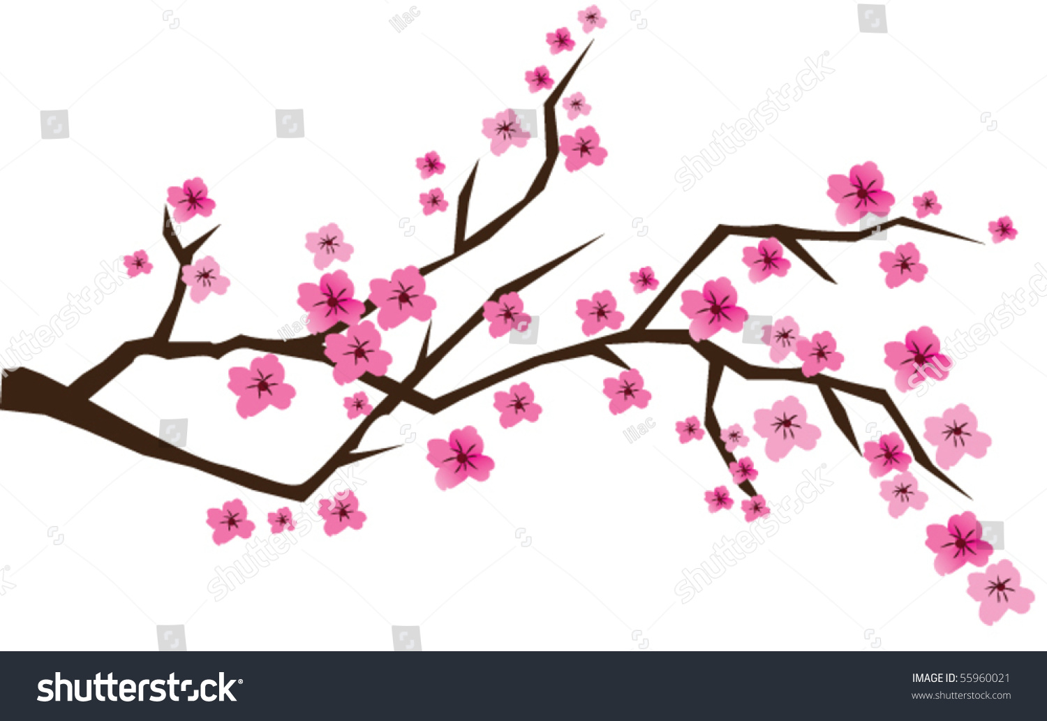 Vector Cherry Branch Blossom Stock Vector (Royalty Free) 55960021 ...