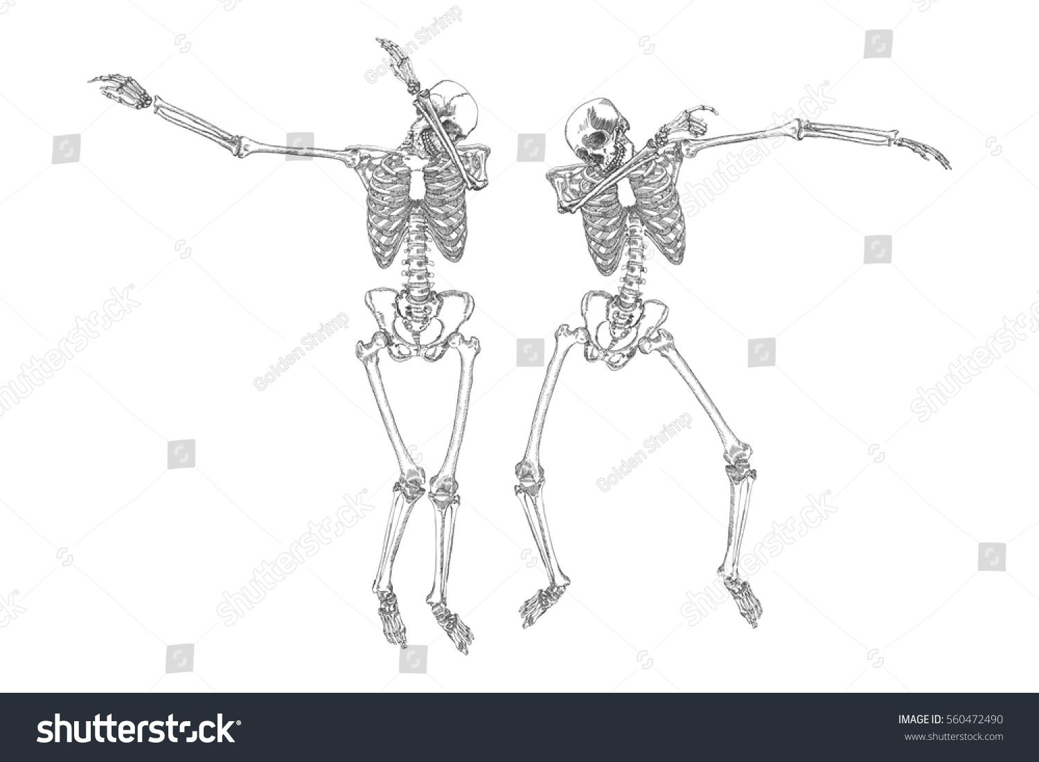 Dancing Skeleton man vector