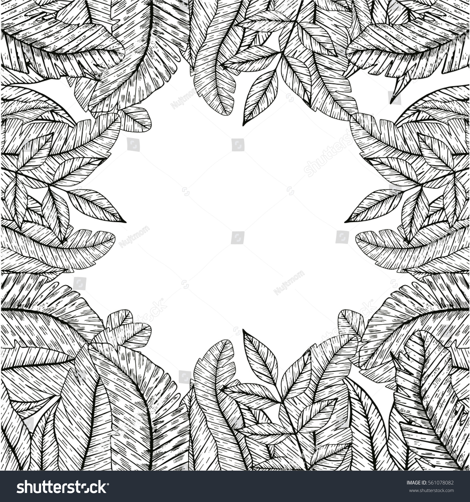 Vector Tropical Frame Tropical Leaf Palm Stock Vector (Royalty Free ...