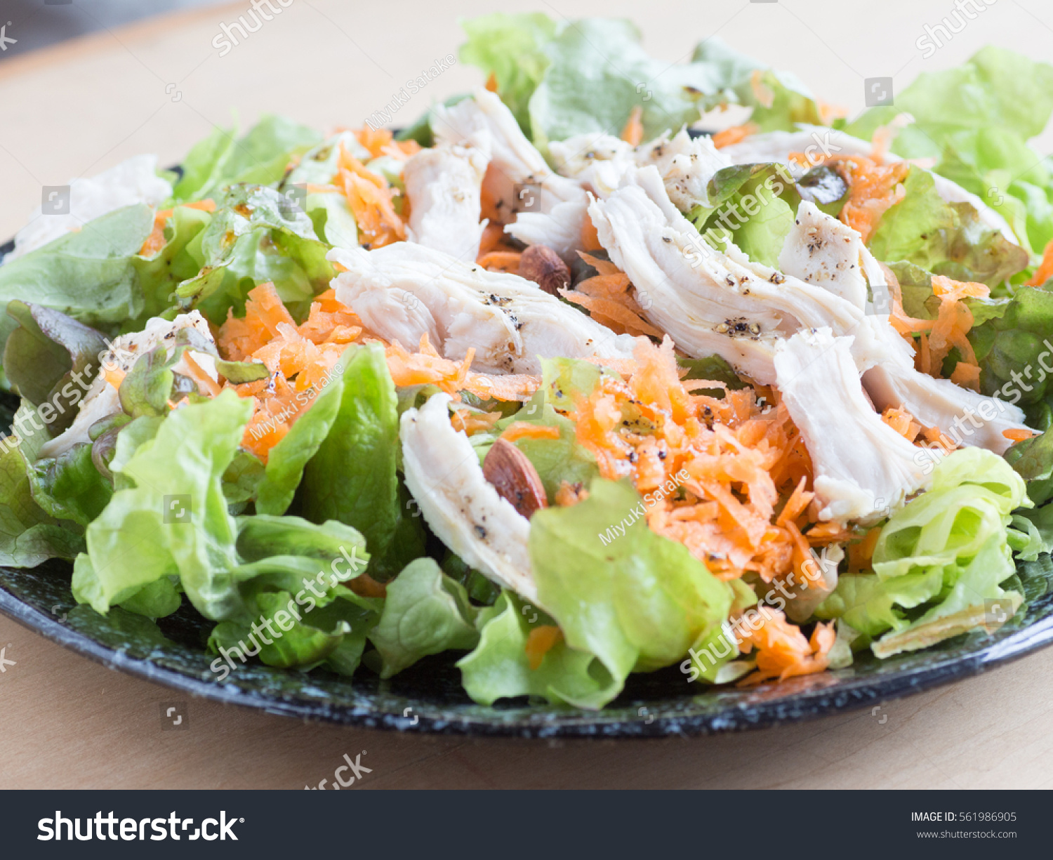 Boiled Chicken Brest Shredded Carrots Lettuce Stock Photo 561986905 boiled-chicken-brest-shredded-carrots-lettuce-stock-photo-561986905
