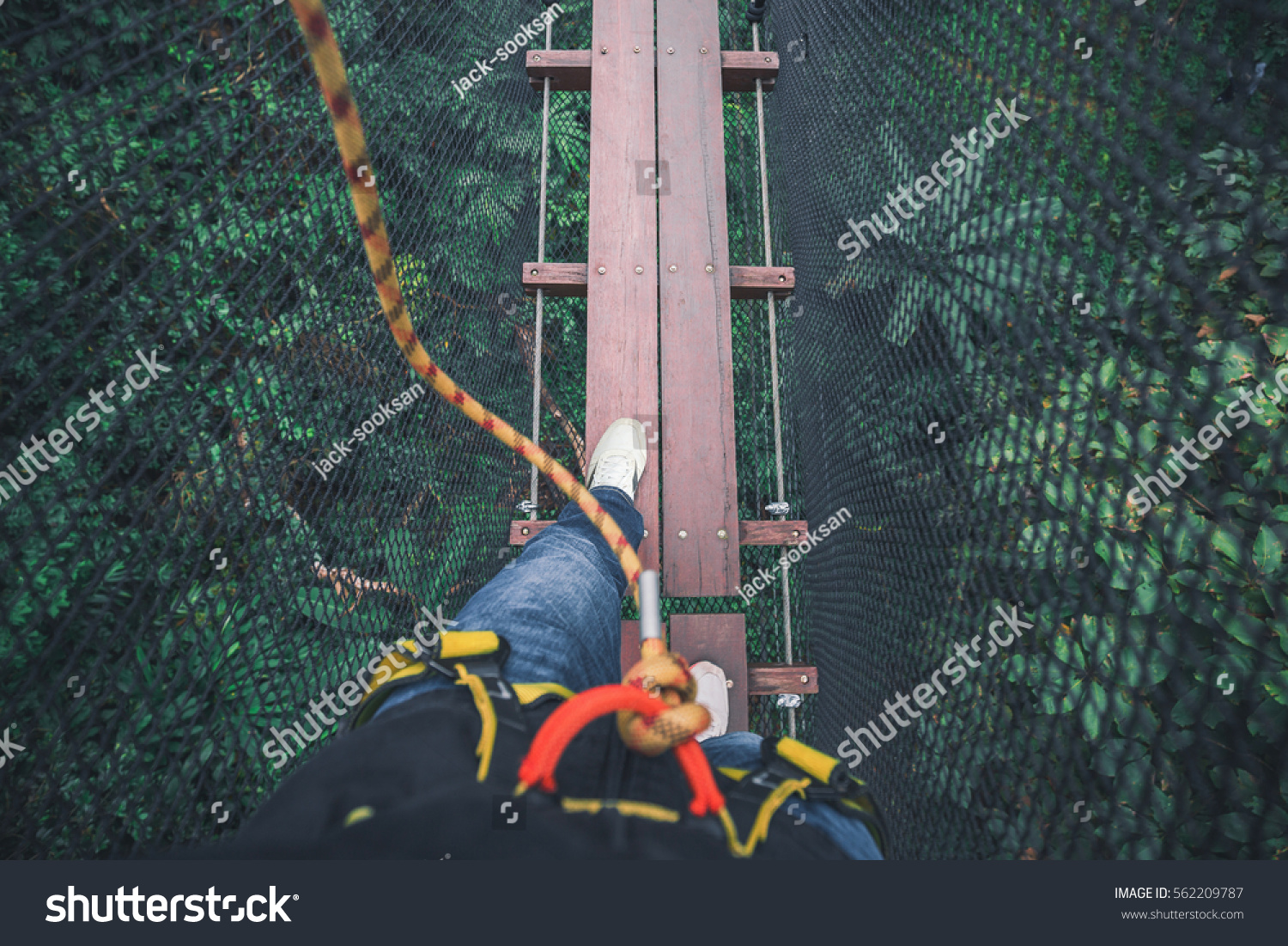 Walking Legs Feet On Wooden Bridge Stock Photo 562209787 | Shutterstock