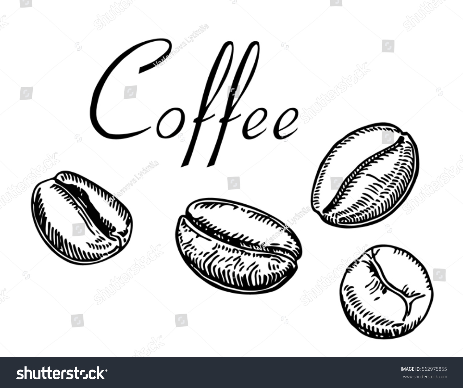 Кофейное зерно эскиз