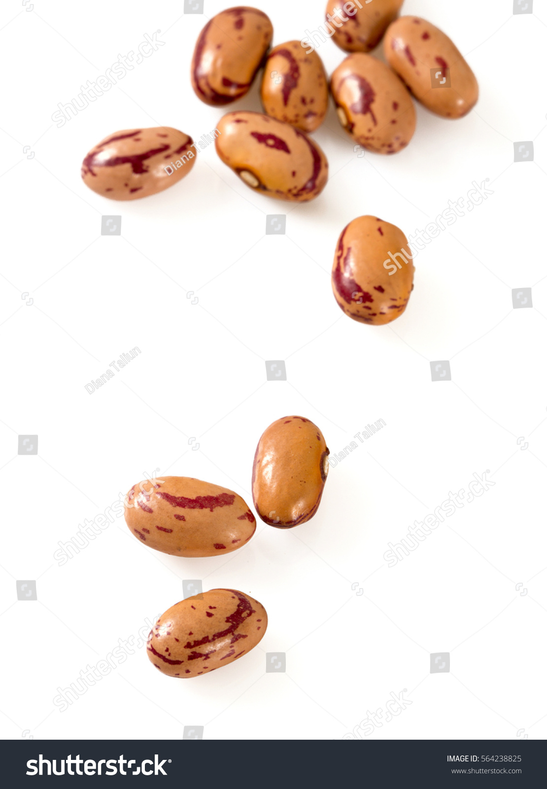 Pinto Beans Isolated On White Background Stock Photo 564238825 ...