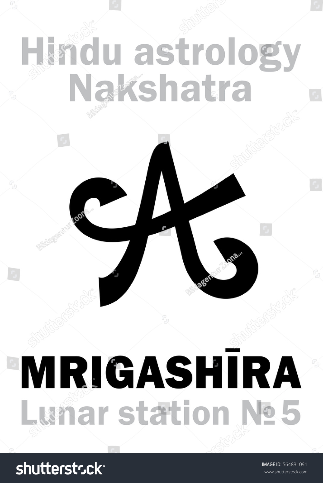 Astrology Lunar Station Mrigashira Nakshatra 스톡 일러스트 564831091 ...