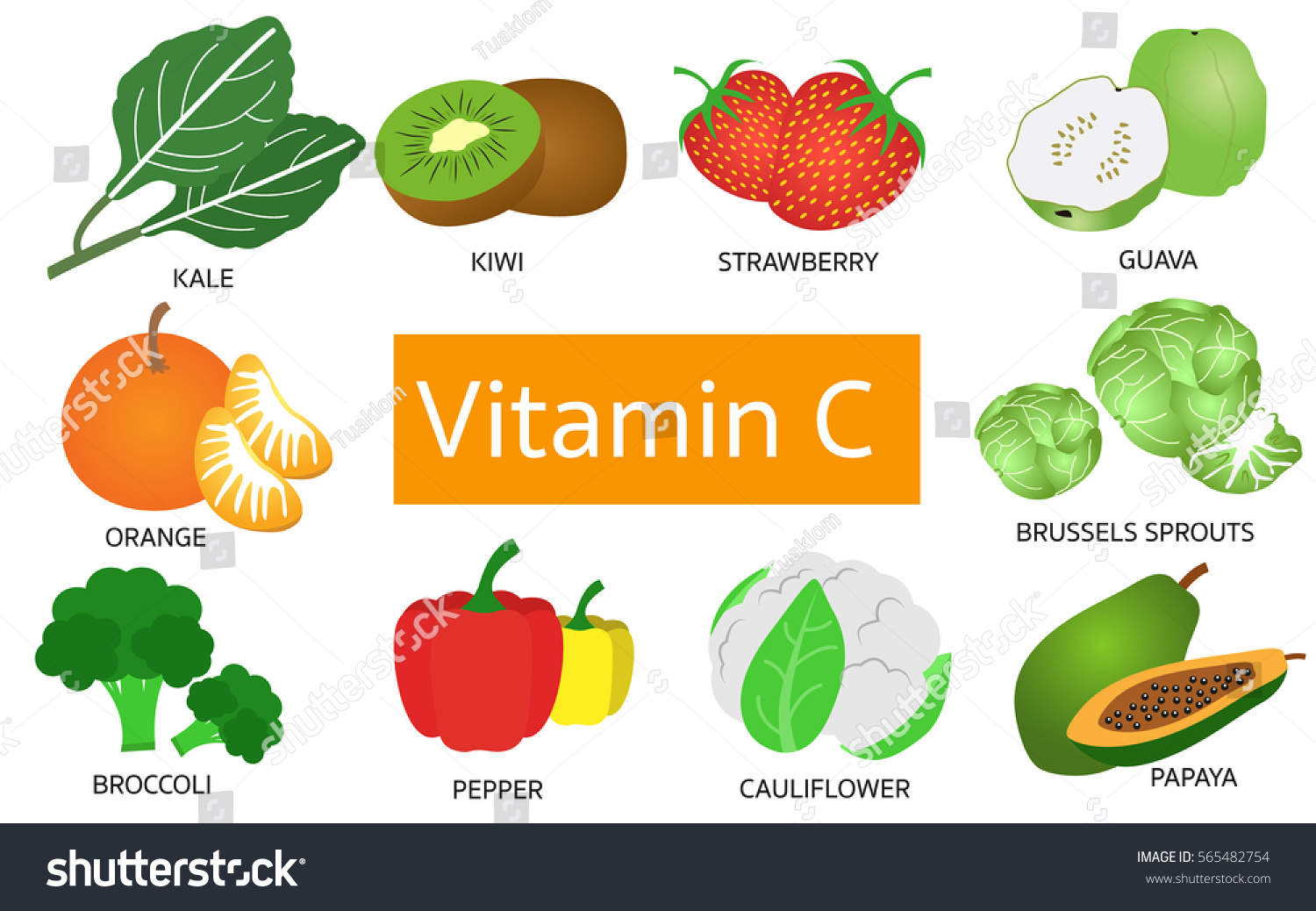 Fiber Rich Foods Infographics Illustration Vector Stock Vector (Royalty Free) 403146778 | Shutterstock