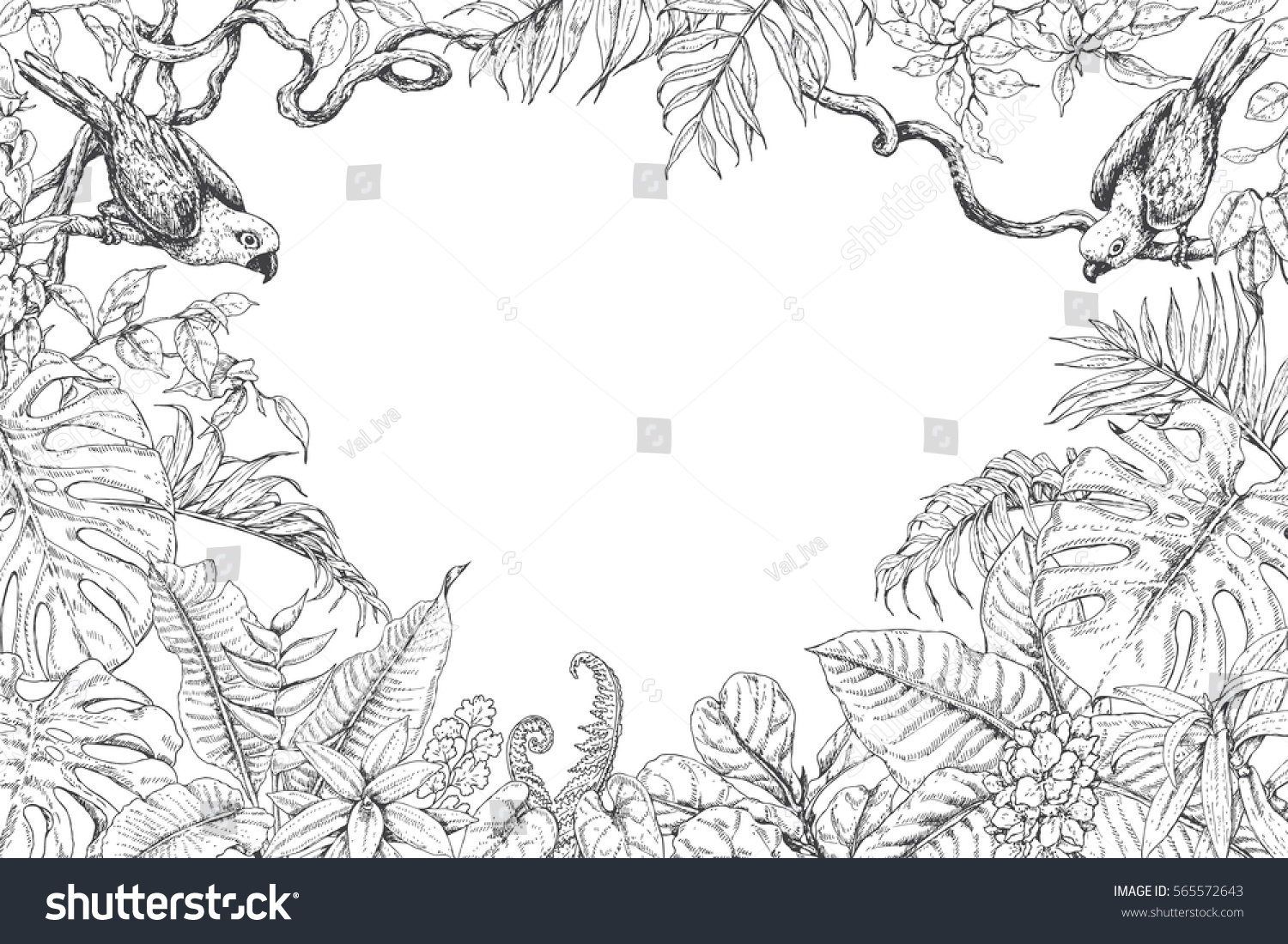 Hand Drawn Branches Leaves Tropical Plants Stock Vector (Royalty Free ...