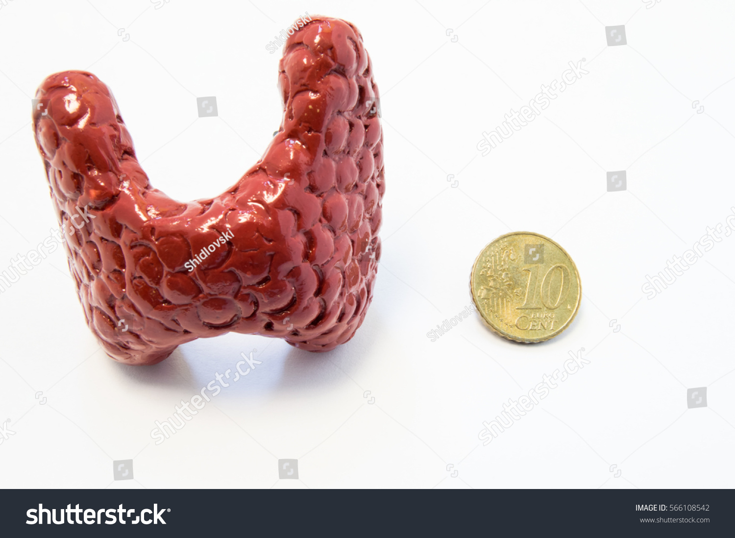 Concept Visualization Enlarged Thyroid Gland Various Stock Photo ...