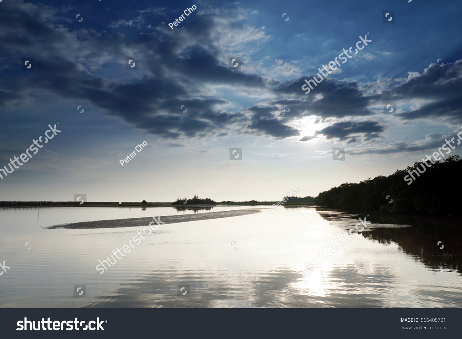 Mangrove Forest Tropical Coastal Mangroves Salt Stock Photo 566405701 ...