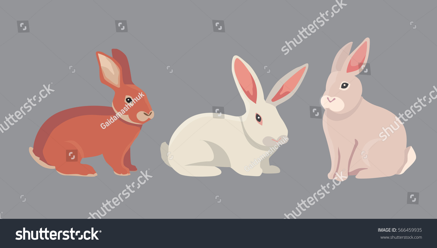 Vector Illustration Cartoon Rabbits Different Breeds Stock Vector ...