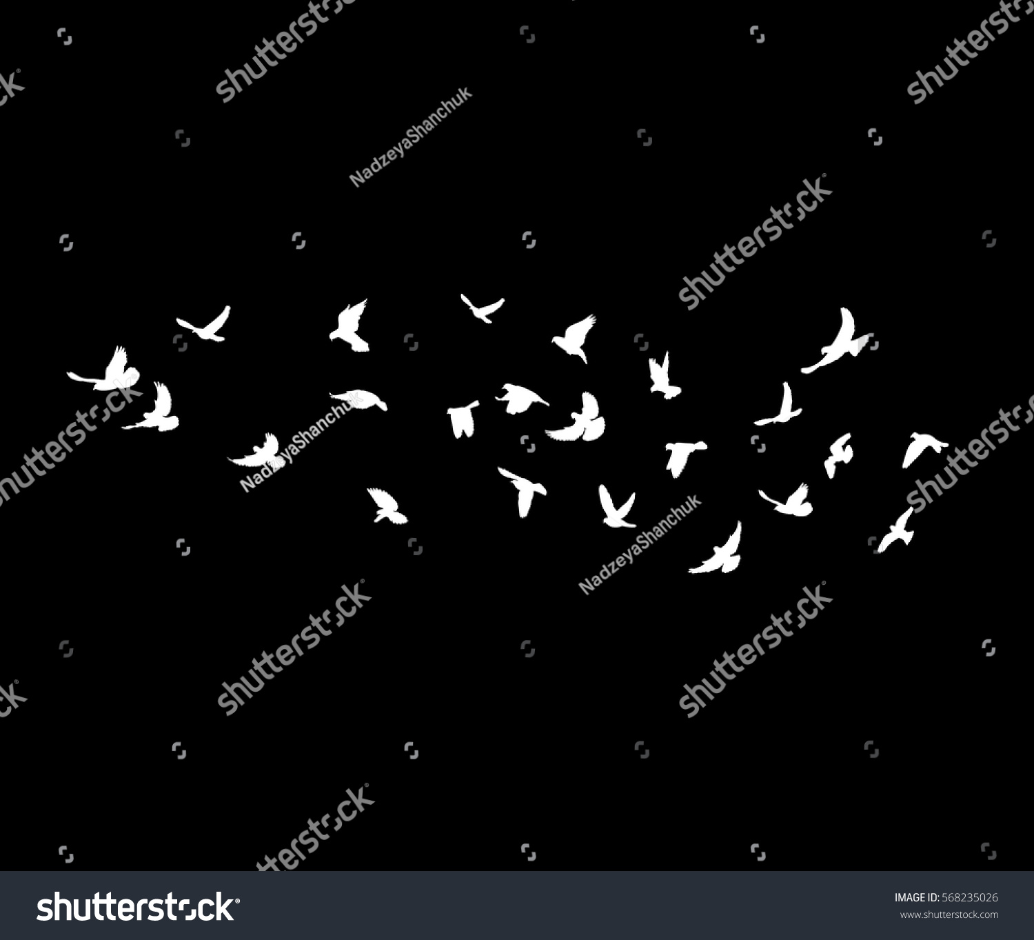 Vector White Silhouette Flying Birds On Stock Vector (Royalty Free ...