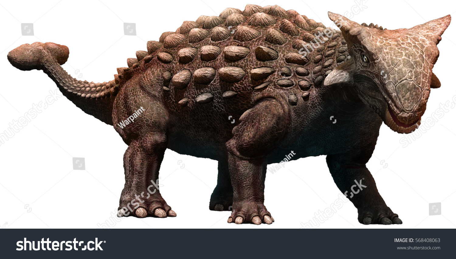 ankylosaurus