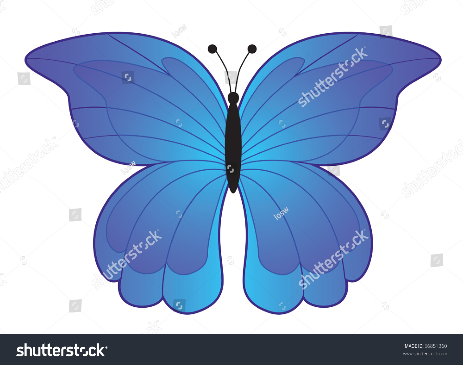 Blue Butterfly Top View Illustration Stock Vector (royalty Free 