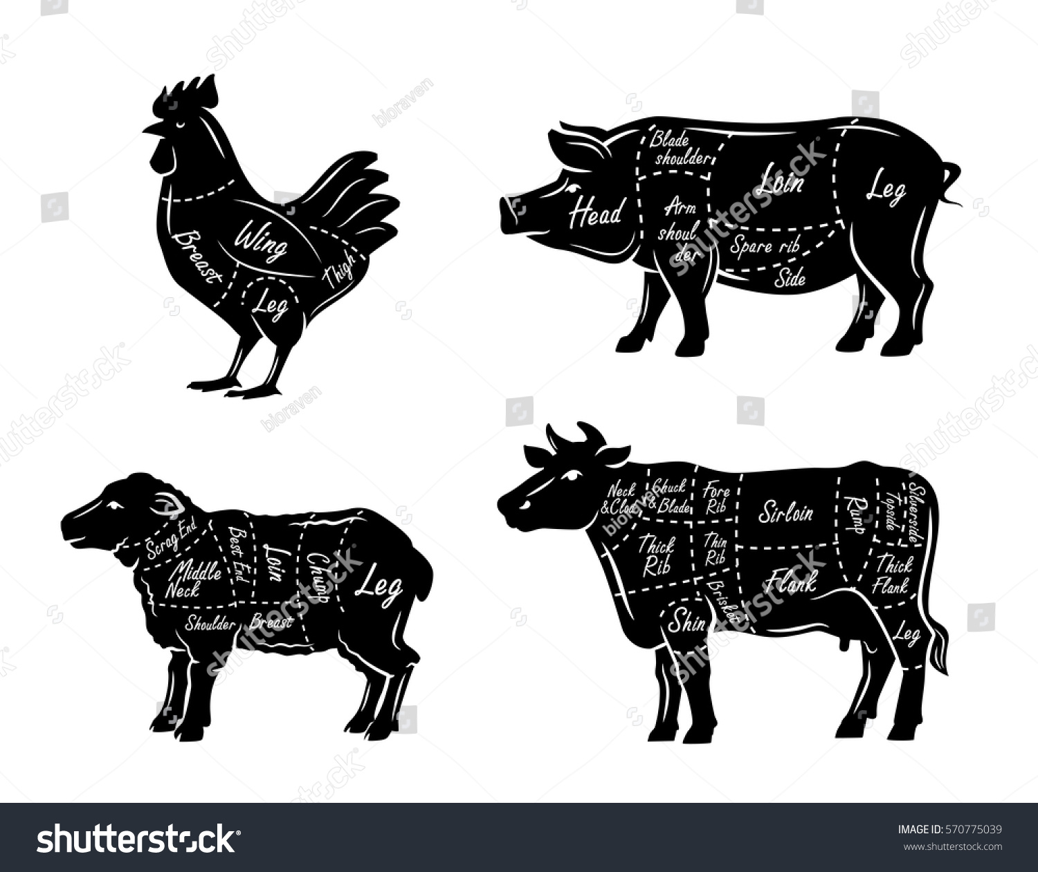 Butchers Guide Symbols Vector Illustration On Stock Vector (Royalty ...