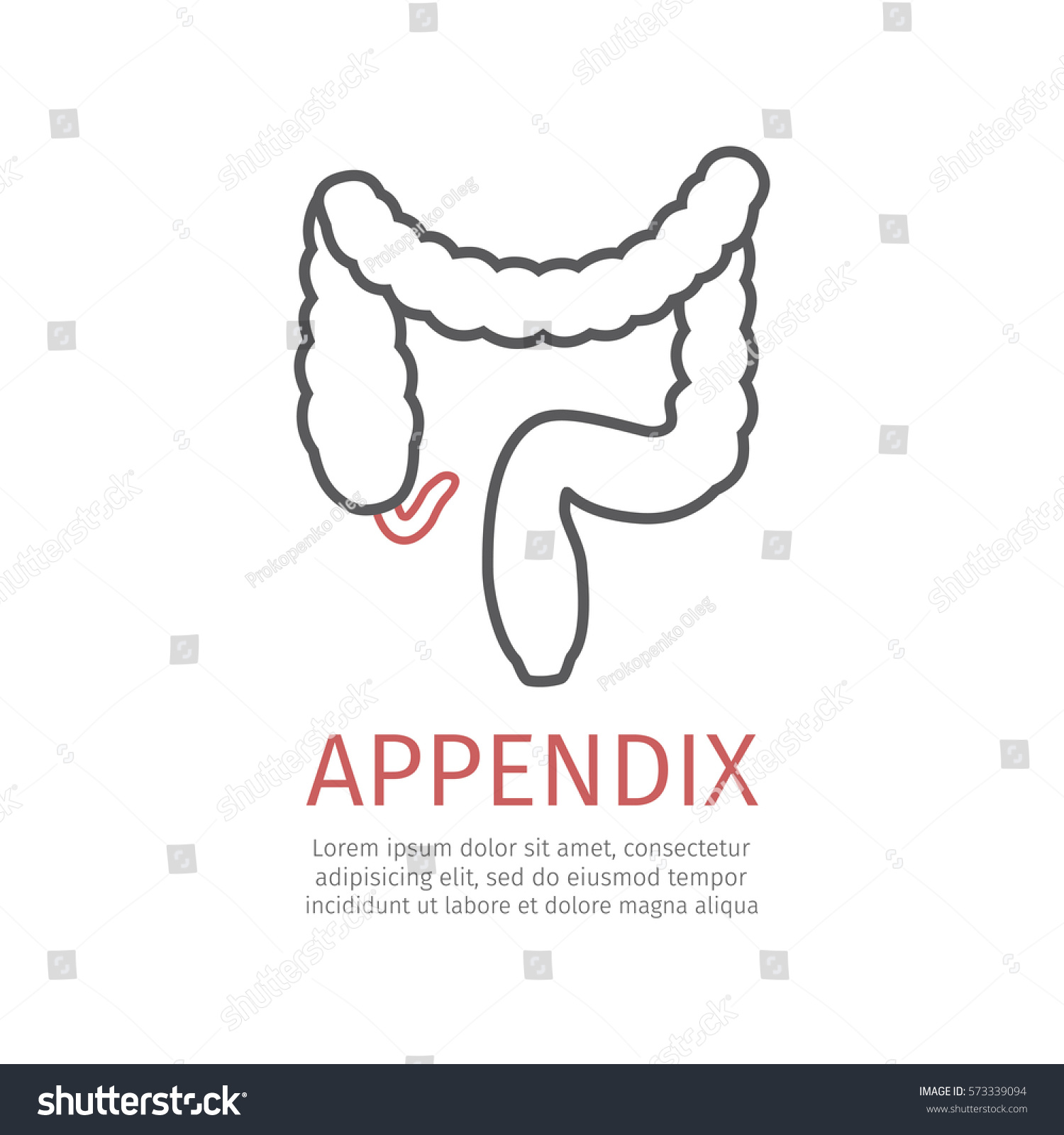 Appendicitis Inflammation Appendix Vector Icon Web Stock Vector