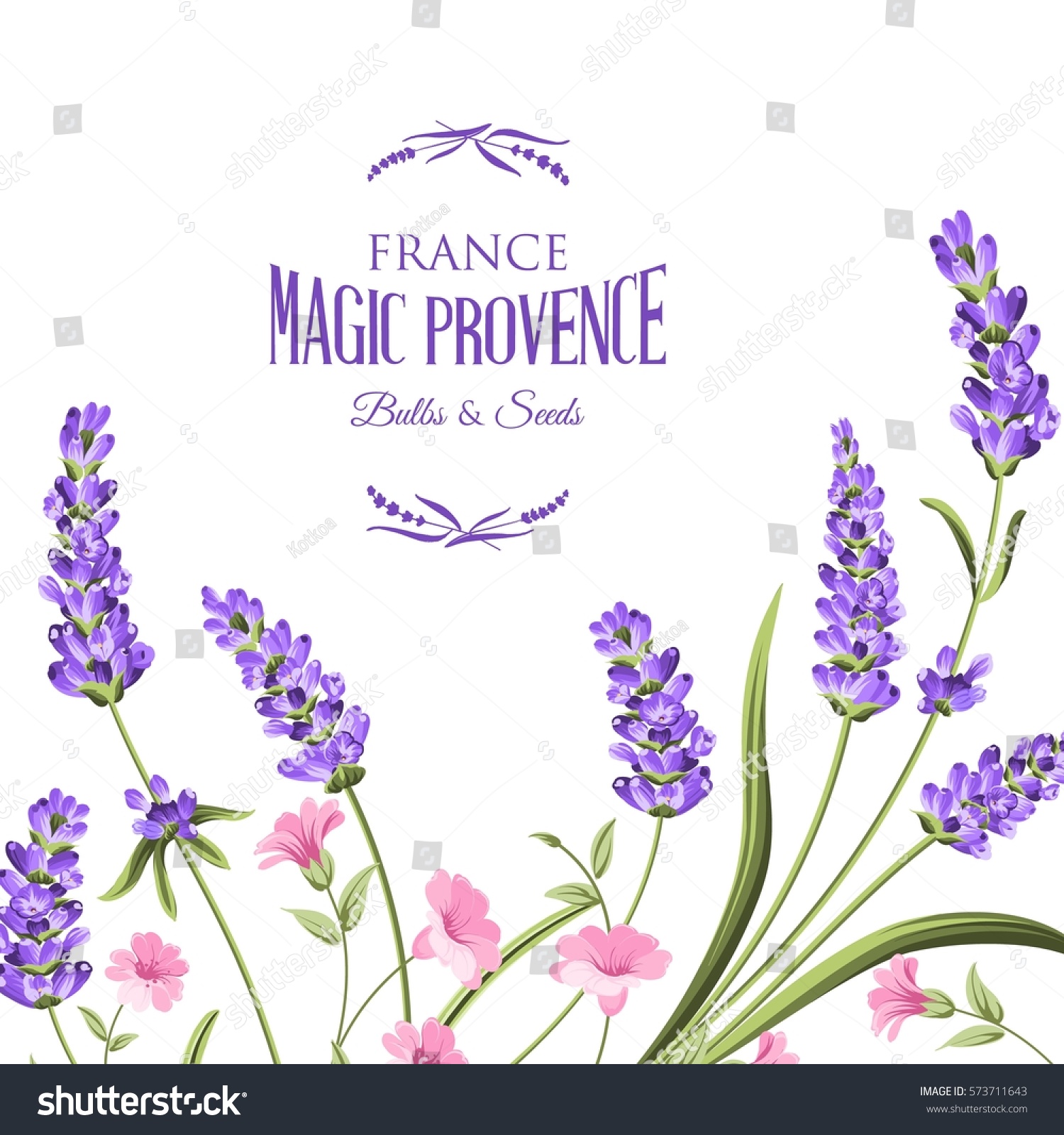 Bunch Lavender Flowers On White Background Stock Vector (Royalty Free ...