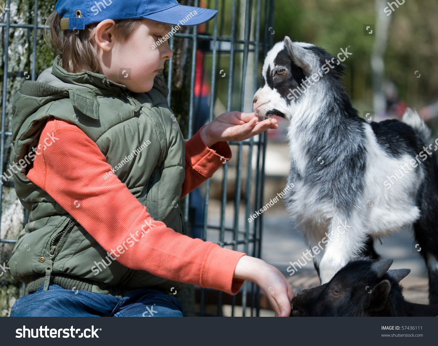 Boy Hugging Goat On Platform Young Foto Stok 57436111 | Shutterstock