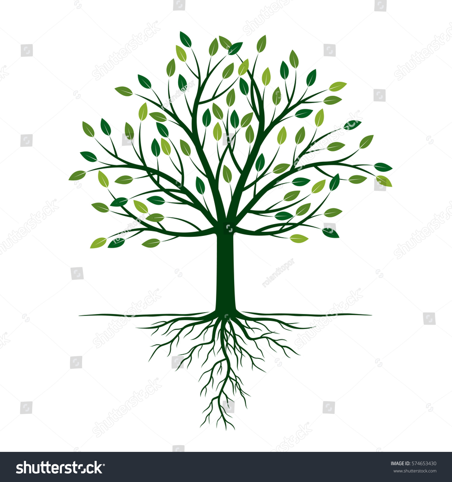 Green Tree Roots Vector Illustration Stock Vector (Royalty Free ...