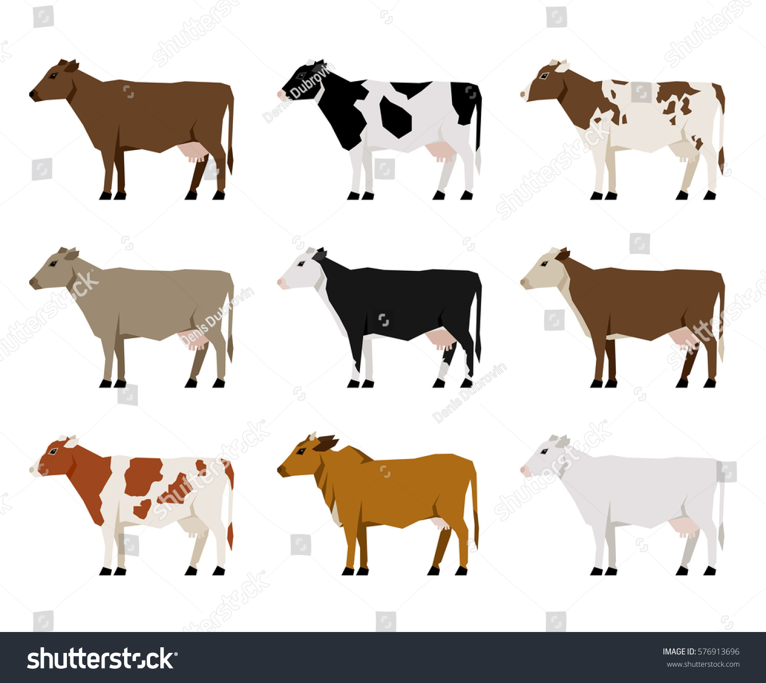 Корова в разных ракурсах