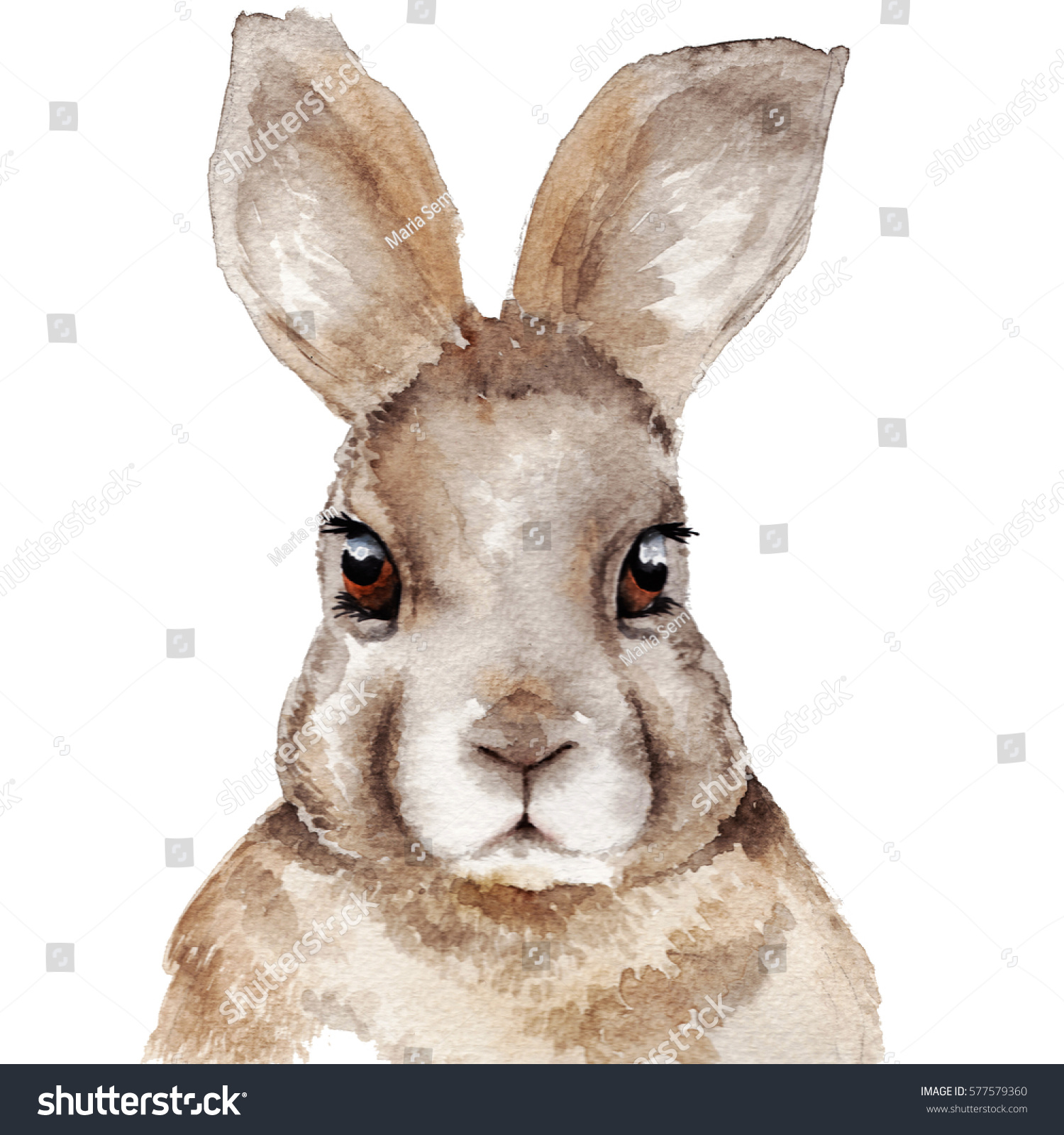 Watercolor Rabbit Portrait Stock Illustration 577579360 