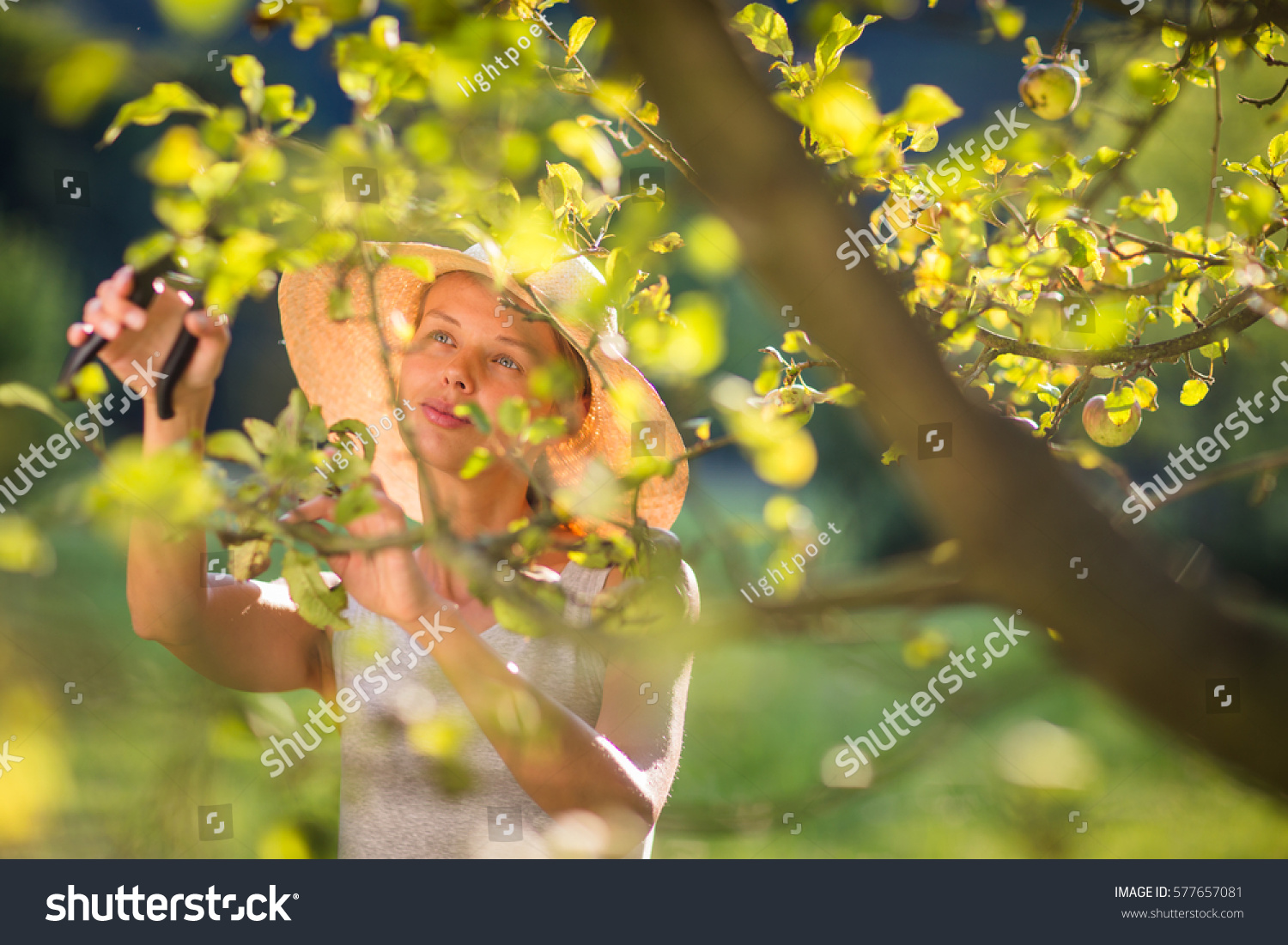 Pretty Young Woman Gardening Her Garden Stock Photo 577657081 ...