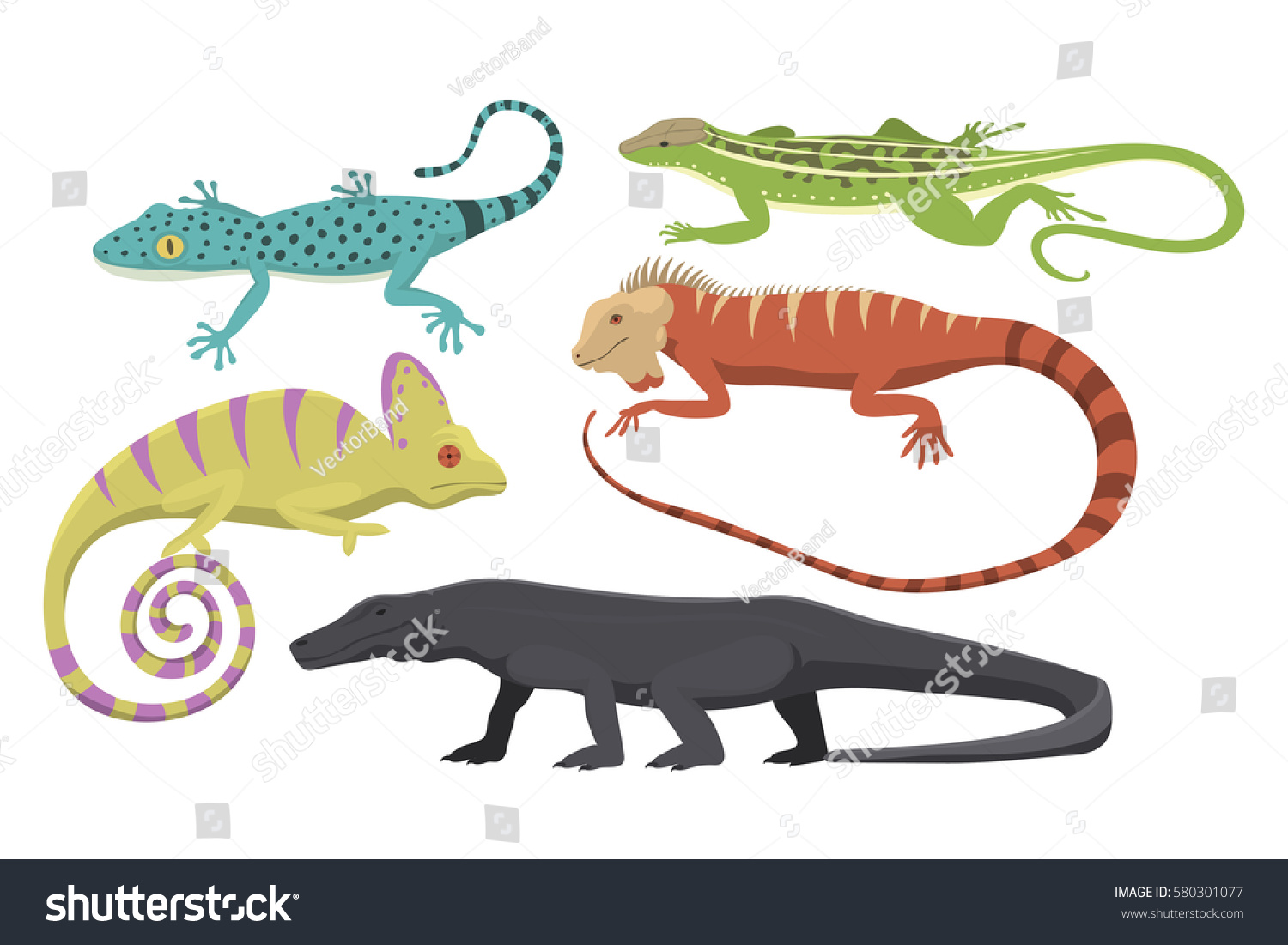 Different Kind Lizard Reptile Isolated Vector Stock Vector (Royalty ...