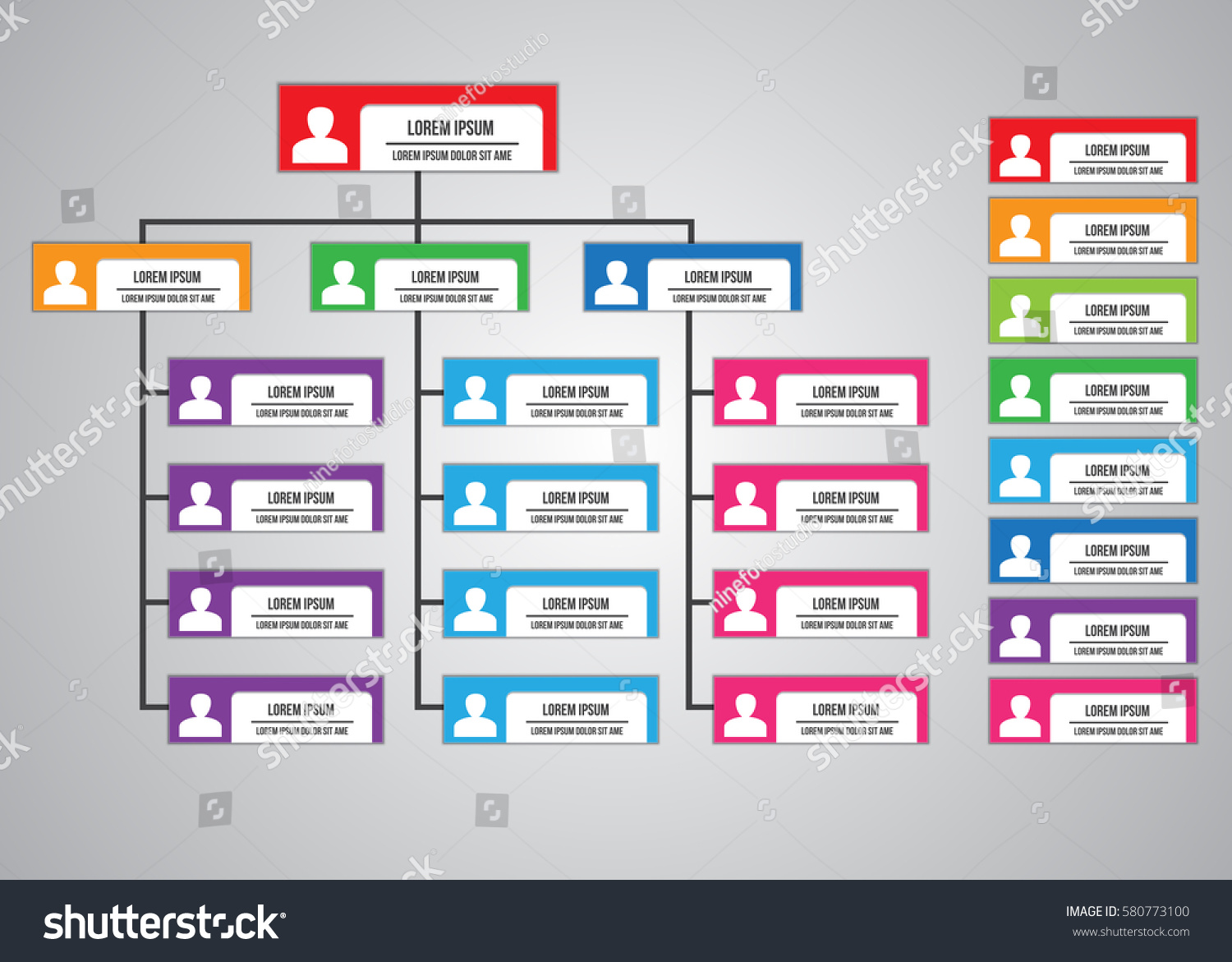 Colorful Rectangle Organization Chart Infographics Rectangle Stock ...