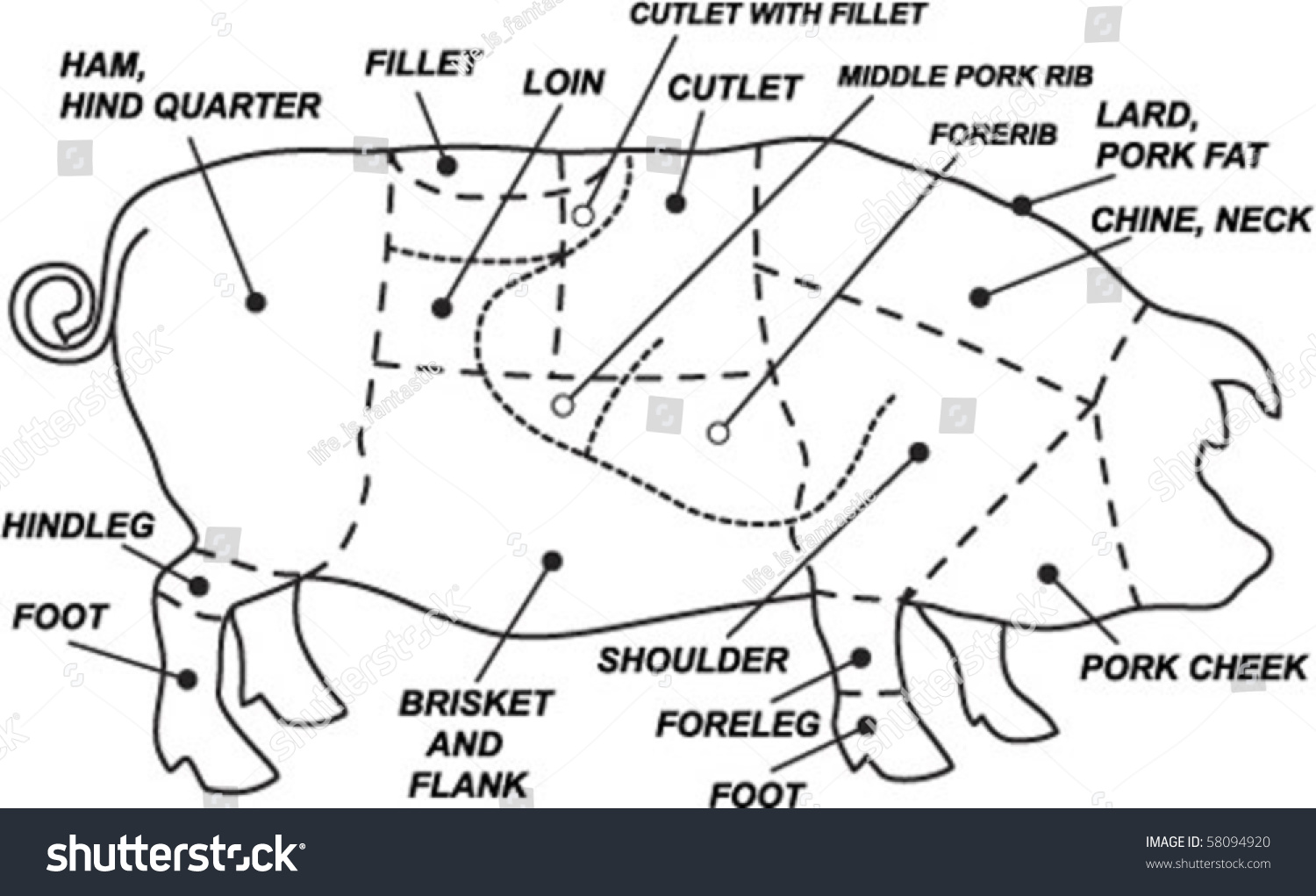 Vektor Stok Vector Pork Chart (Tanpa Royalti) 58094920 Shutterstock.