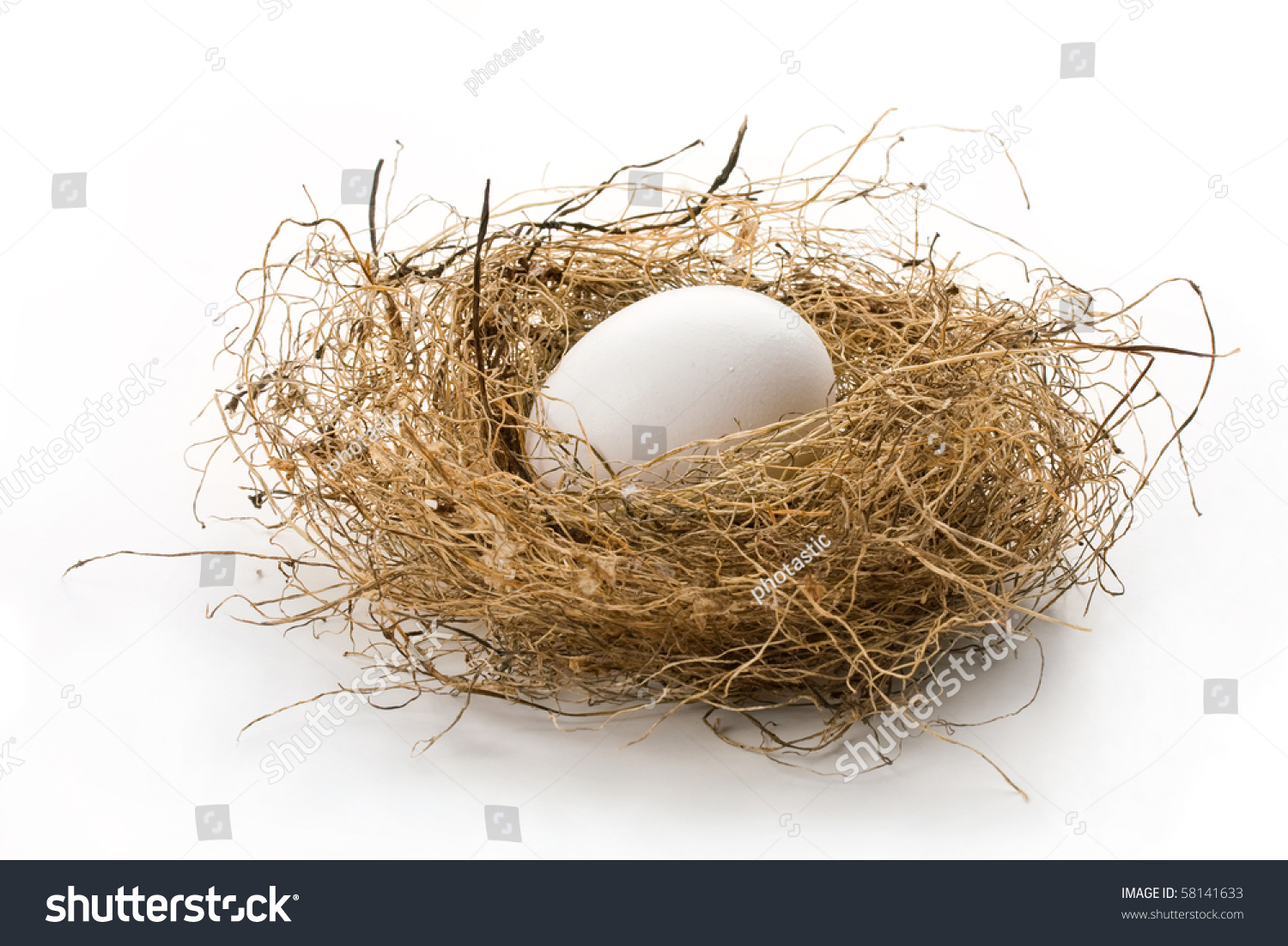 Close White Egg Laying Bird Nest Stock Photo 58141633 | Shutterstock