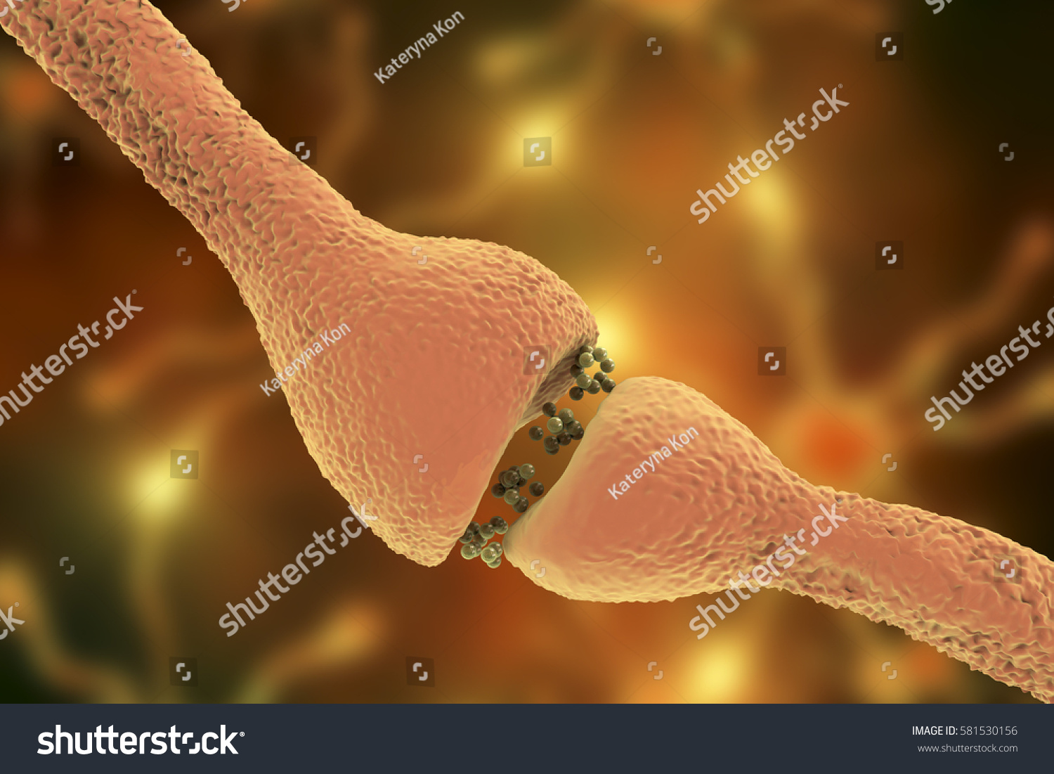 Ilustrasi Stok Neuronal Synapses Closeup View Network Neurons 581530156