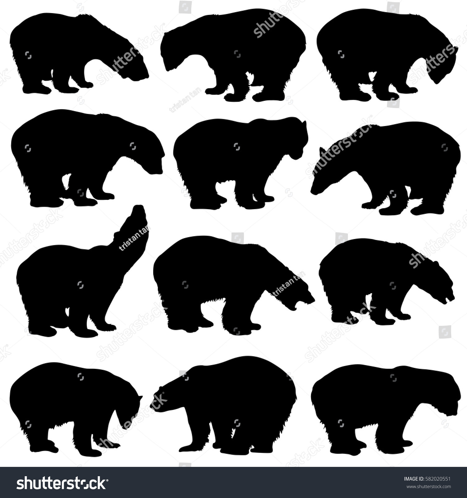 Bear Silhouettes On White Background Stock Vector (Royalty Free ...