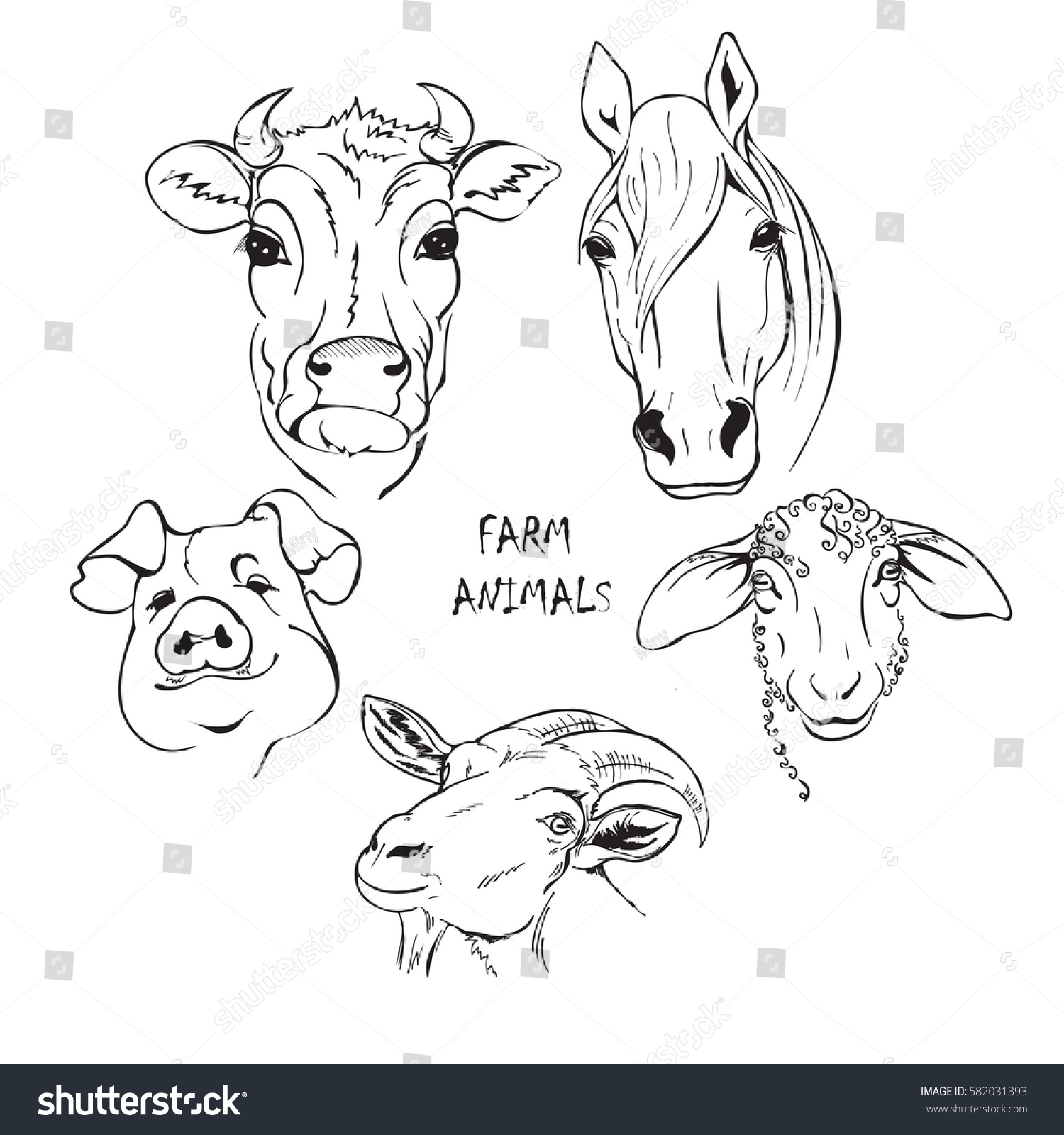 Farm Animals Set Horse Cow Sheep Stock Vector (Royalty Free) 582031393 ...