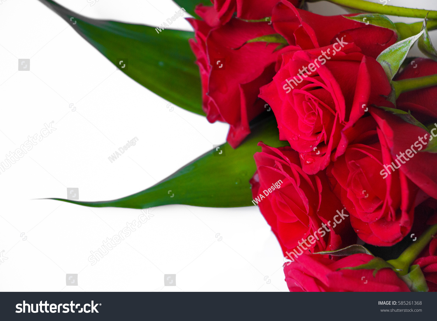 Red Roses Bridal Bouquet Background Stock Photo 585261368 | Shutterstock