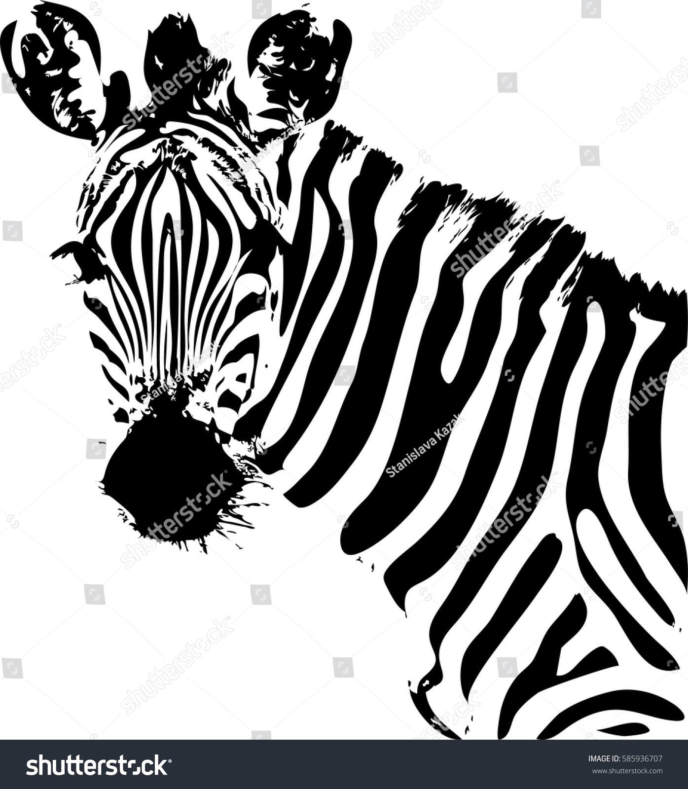 Zebra face Clipart
