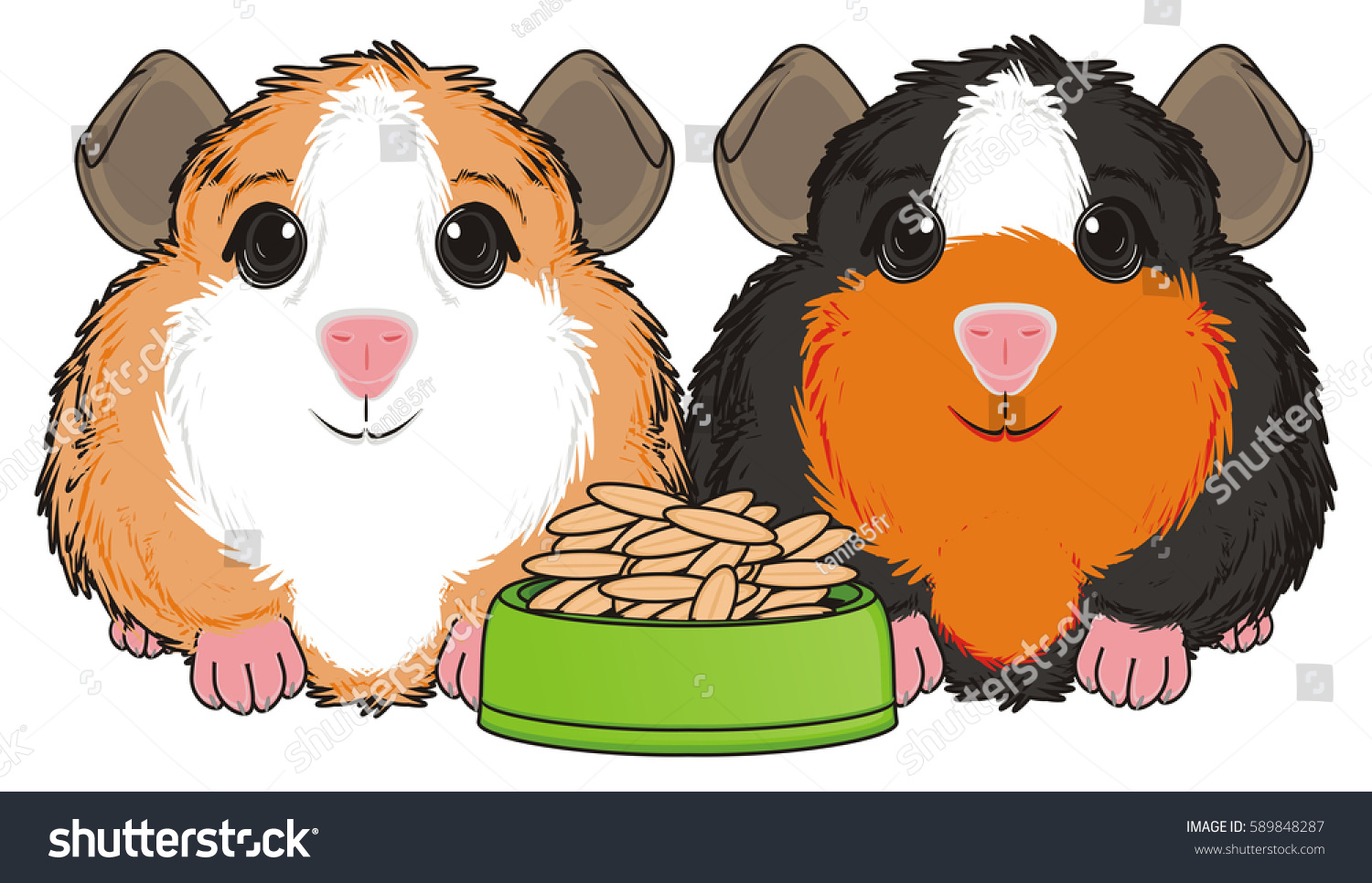 Petitioner episode Vagrant Couple Guinea Pigs Bowl Foods Stock Illustration 589848287 | Shutterstock