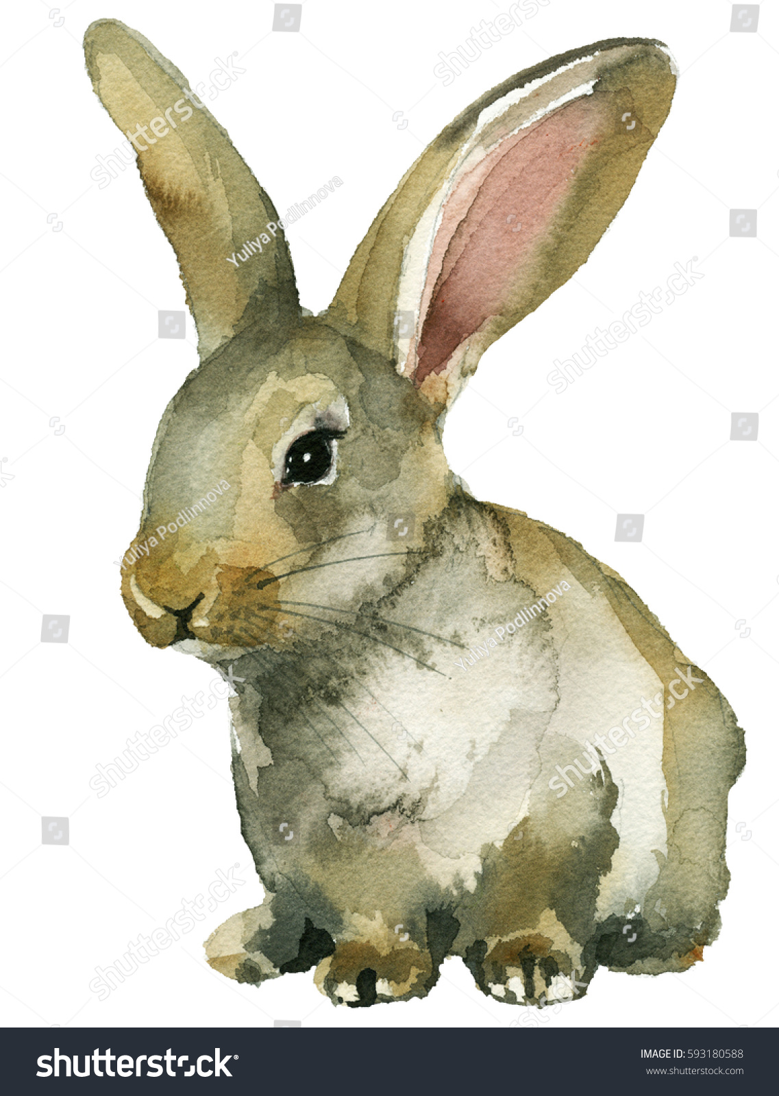 Grey Brown Spring Rabbit Bunny Hare Stock Illustration 593180588 ...