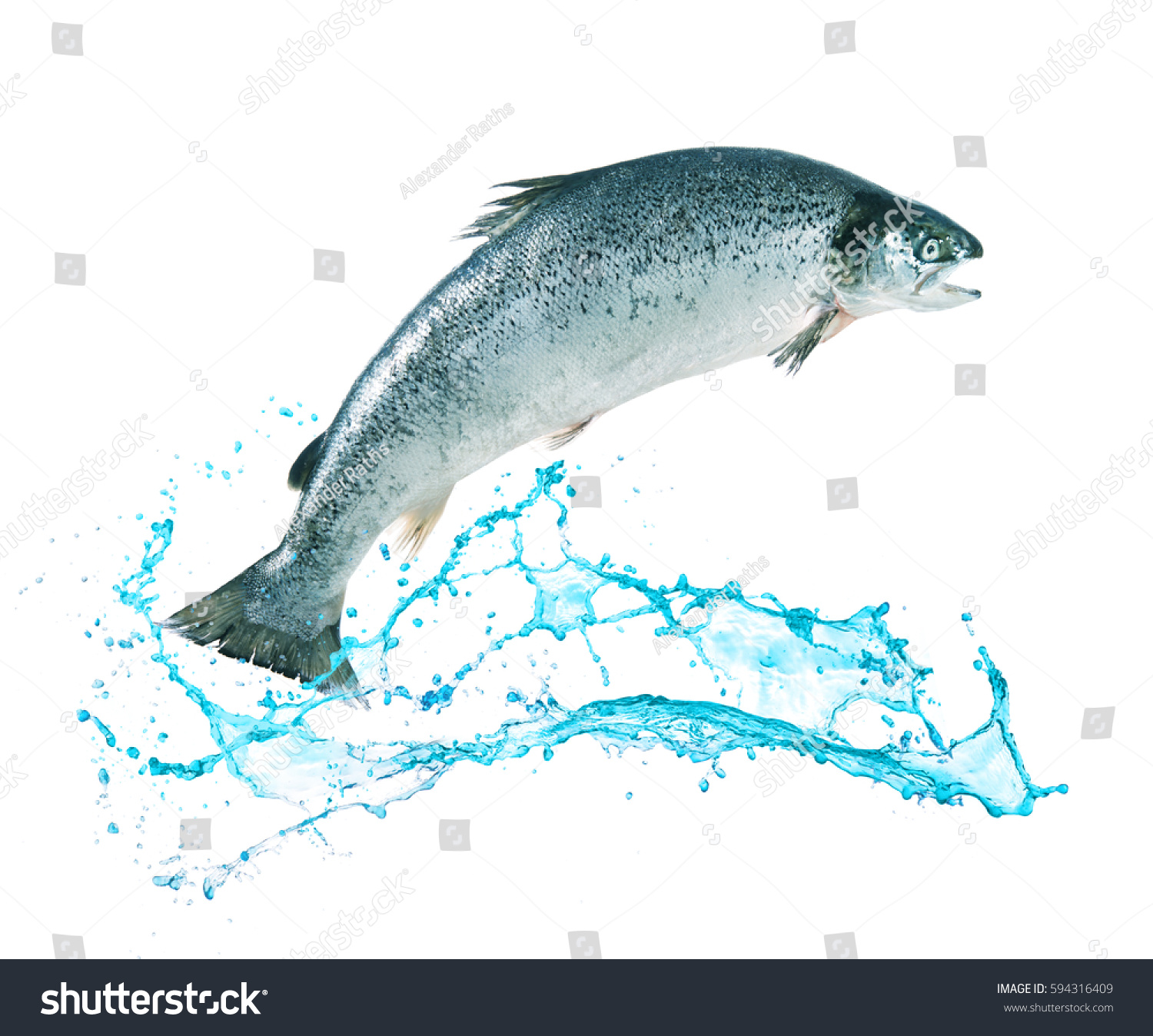 Рыба выпрыгивает из воды