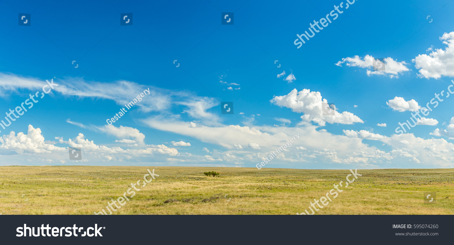 Prairies Considered Part Temperate Grasslands Biome Stock Photo ...