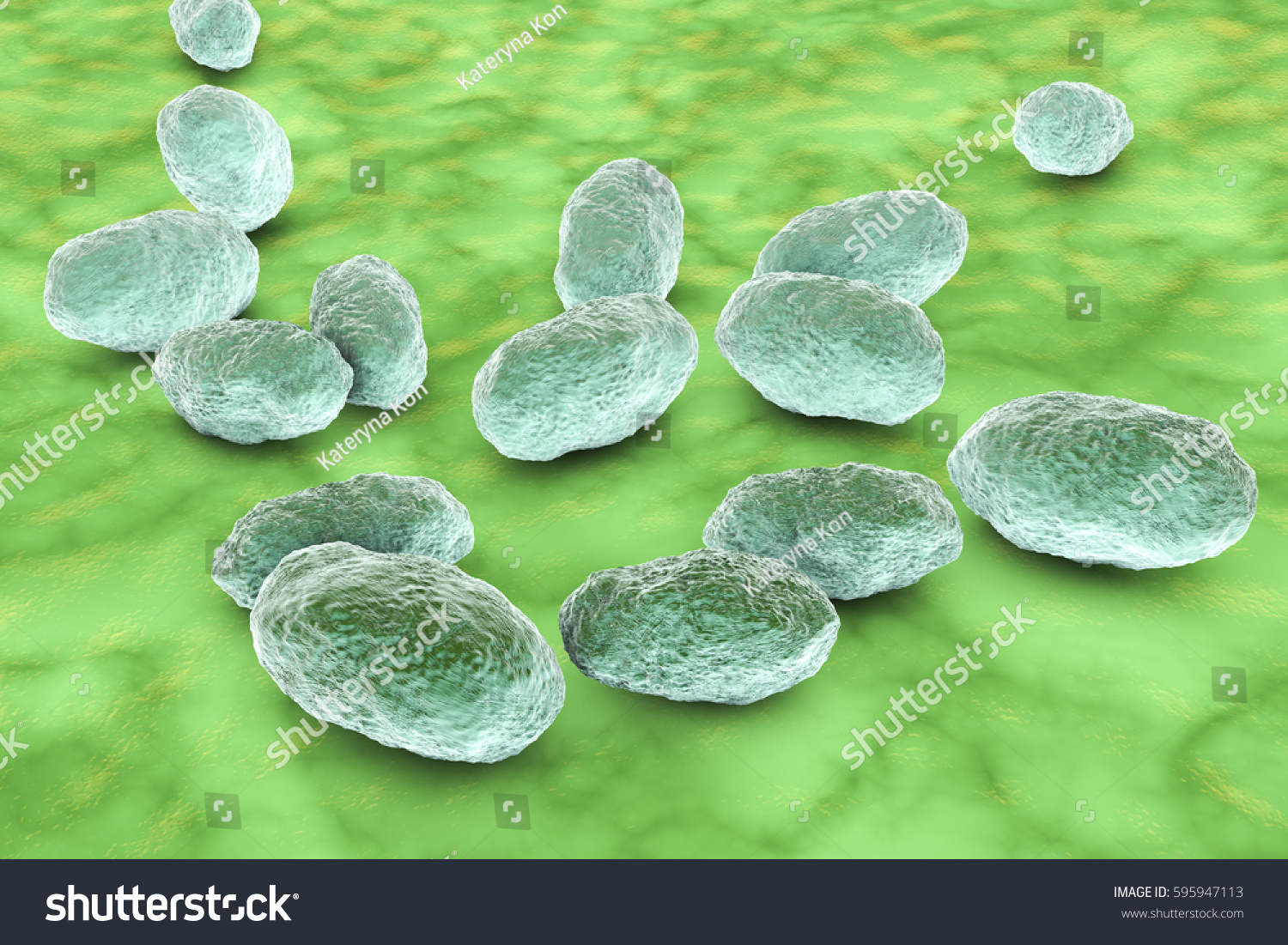 Haemophilus Influenzae Bacteria 3d Illustration Gramnegative Stock ...