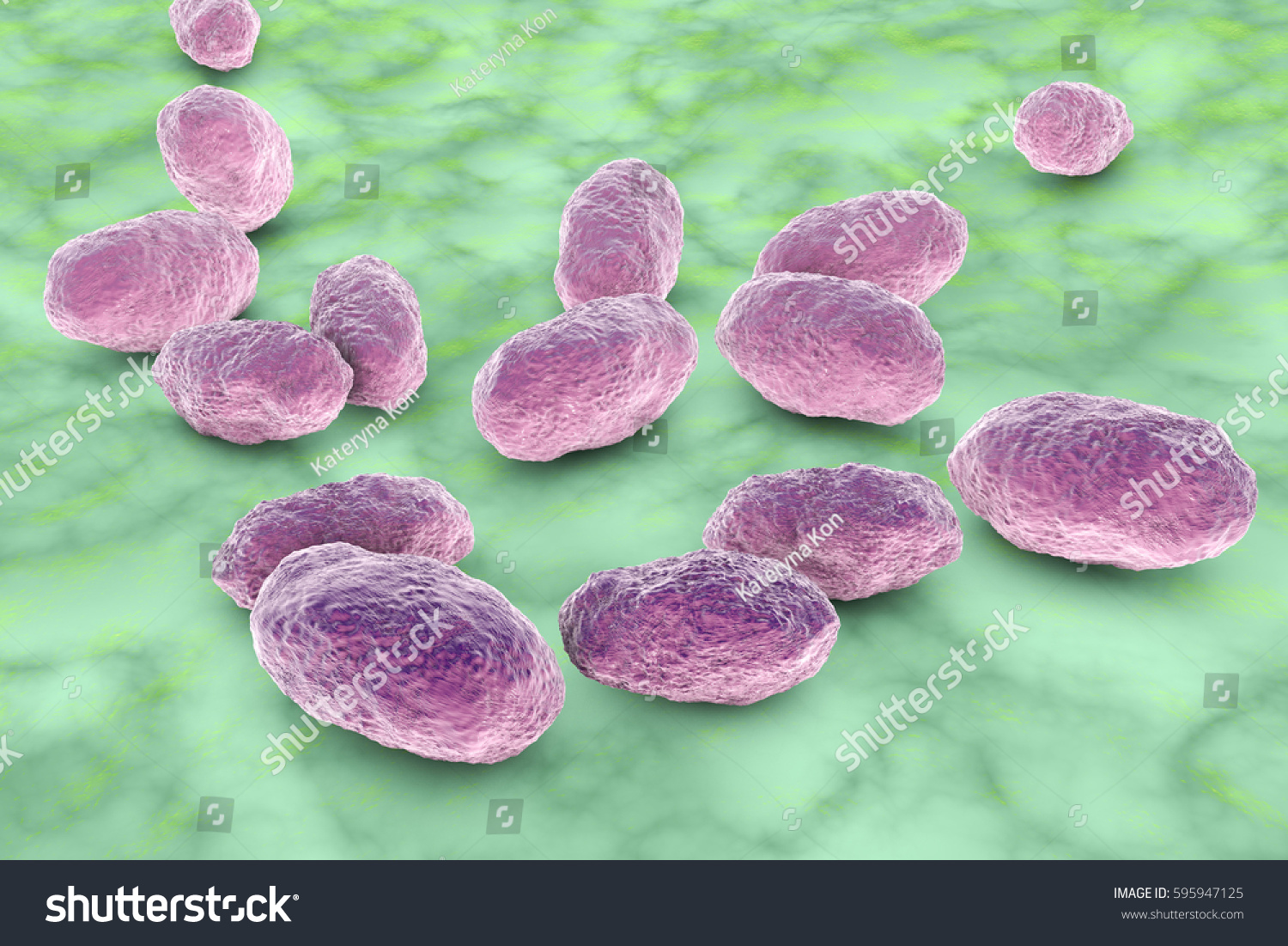 Haemophilus Influenzae Bacteria 3d Illustration Gramnegative Stock ...