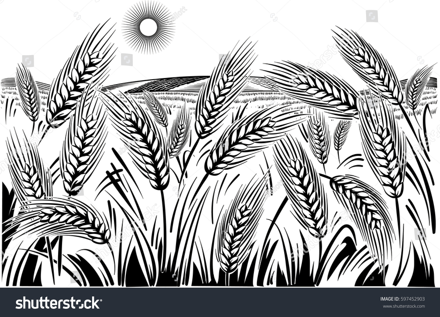 Пшеница Графика